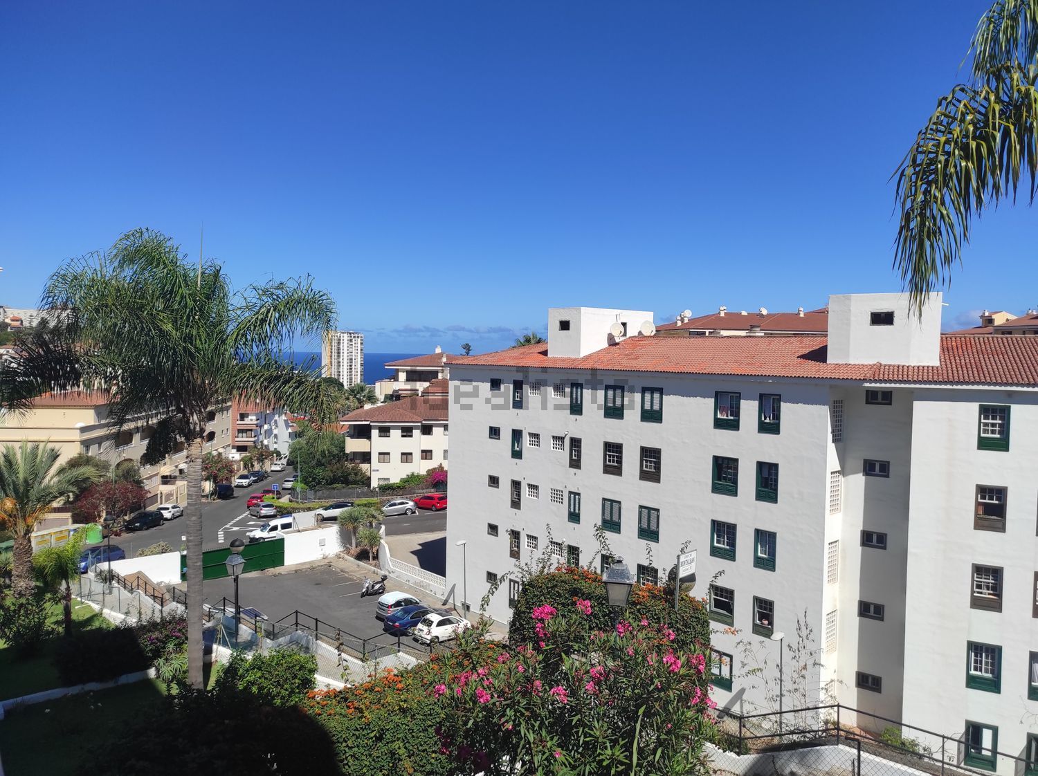 Habitació de lloguer, Puerto de la Cruz
