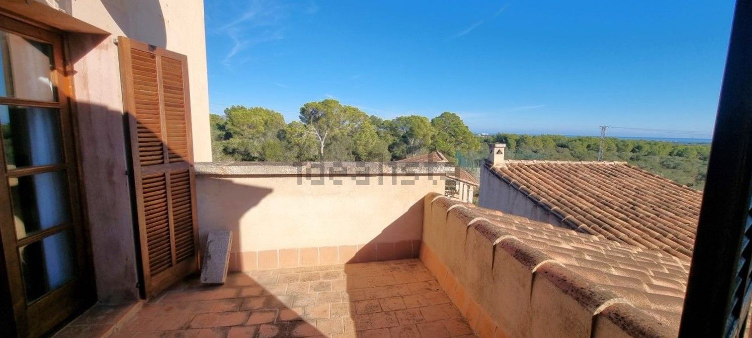 Appartement 900 m² à Felanitx