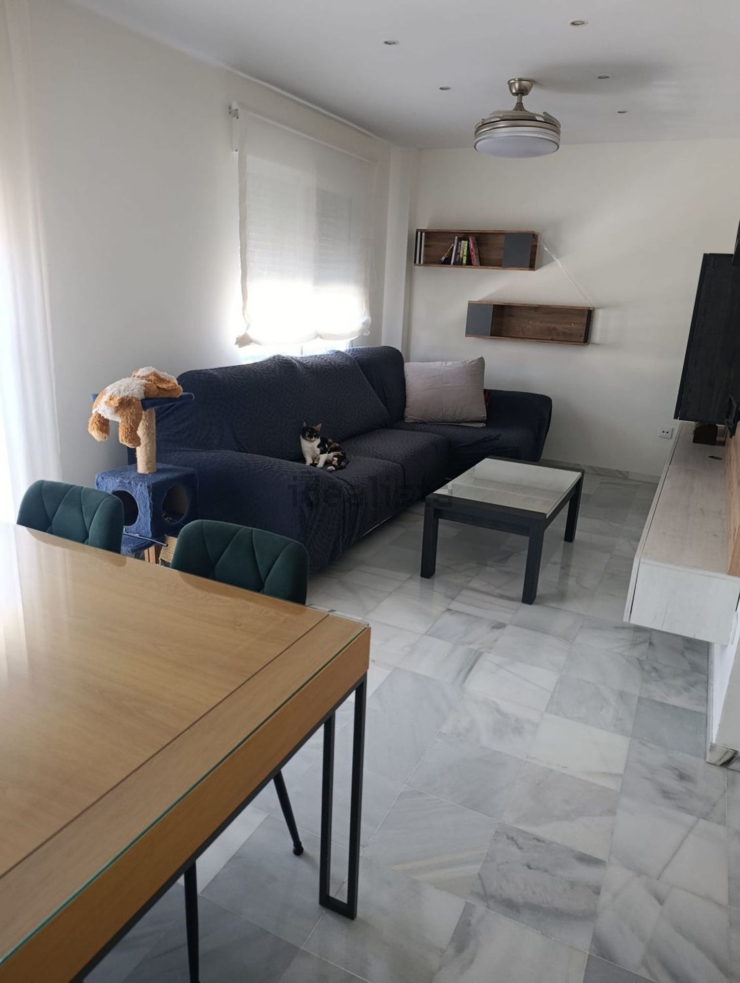 Habitació de lloguer, Còrdova