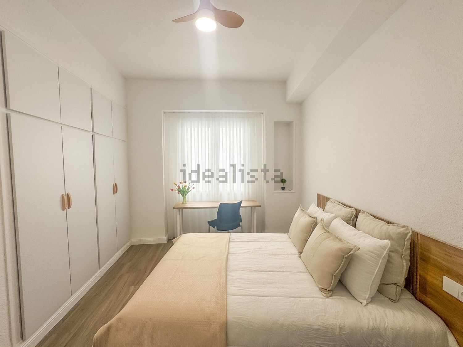 Habitació de lloguer, Elx
