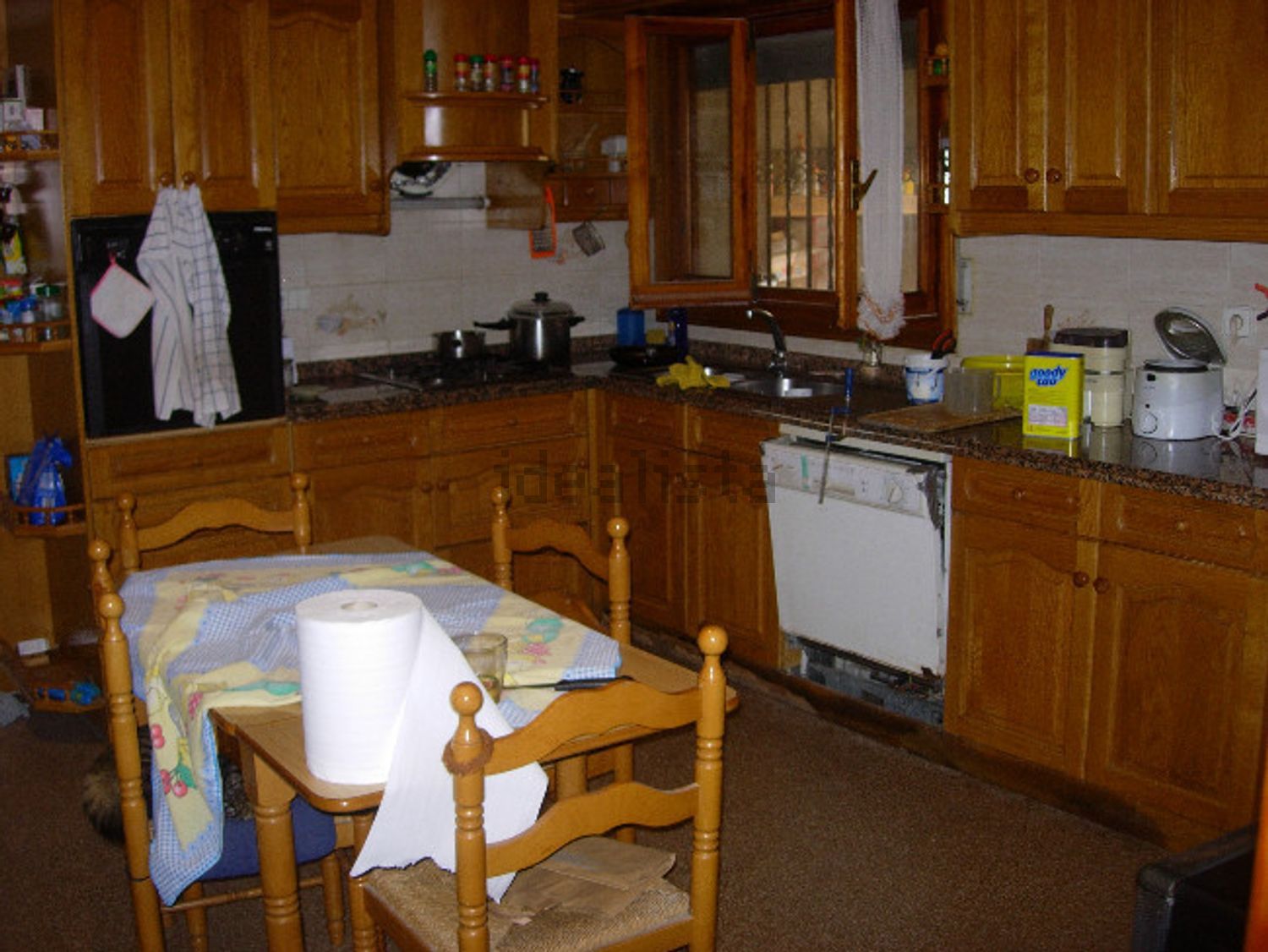 Habitació de lloguer, Elx