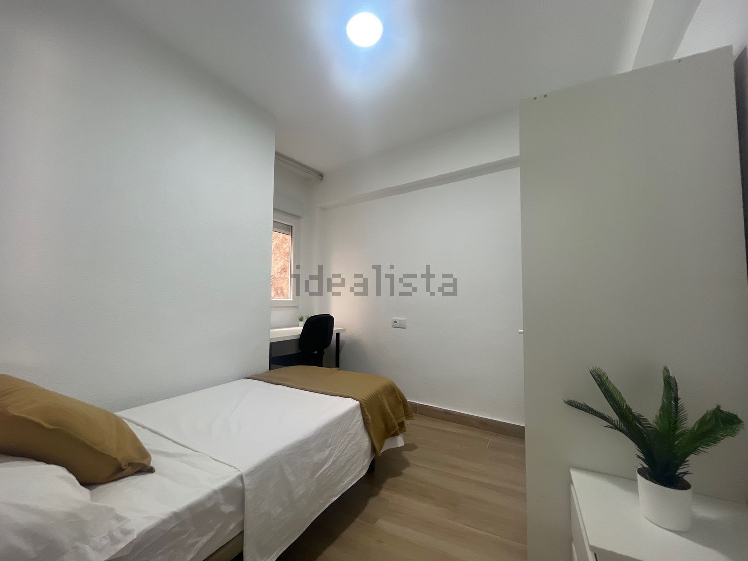 Habitació de lloguer, Múrcia