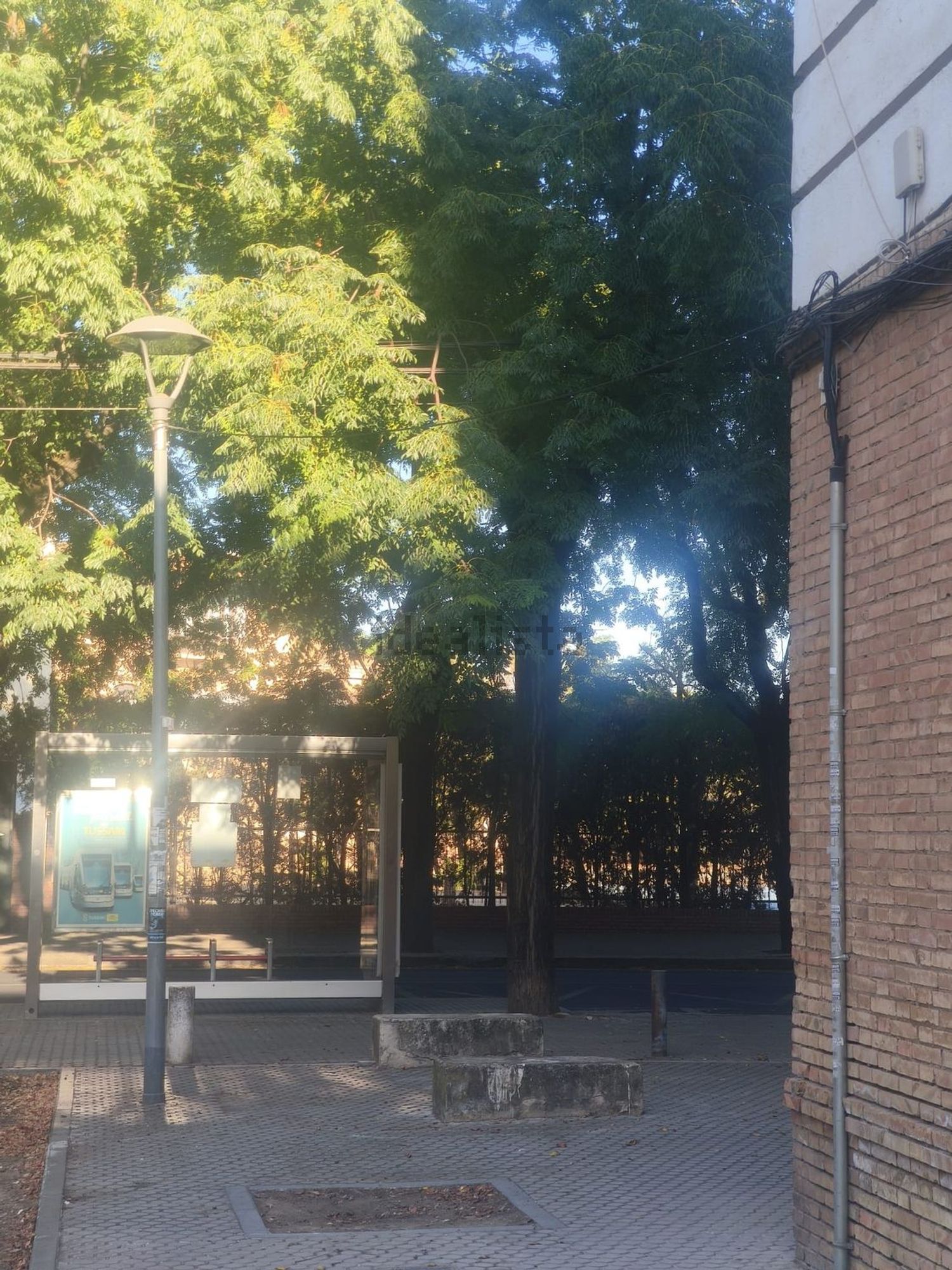 Habitació de lloguer, Sevilla