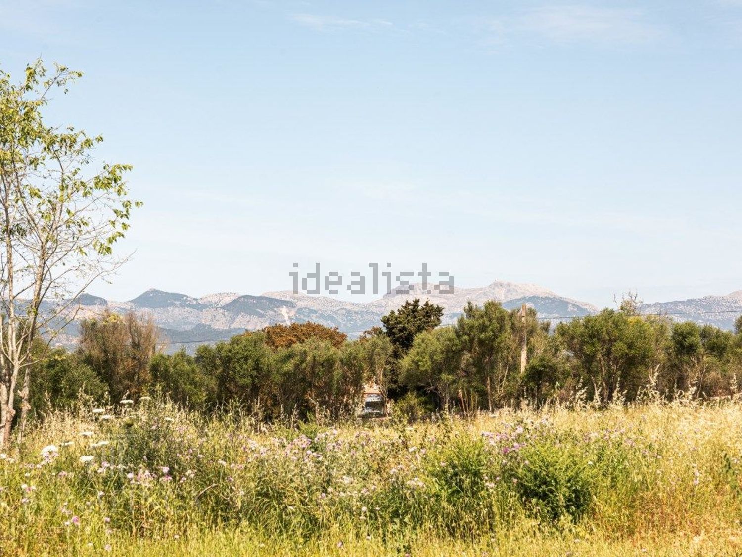 Casa 300 m² a Sencelles