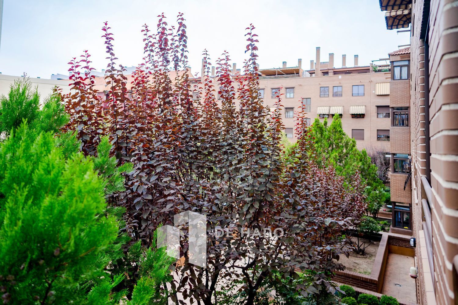 Habitación en alquiler, Madrid