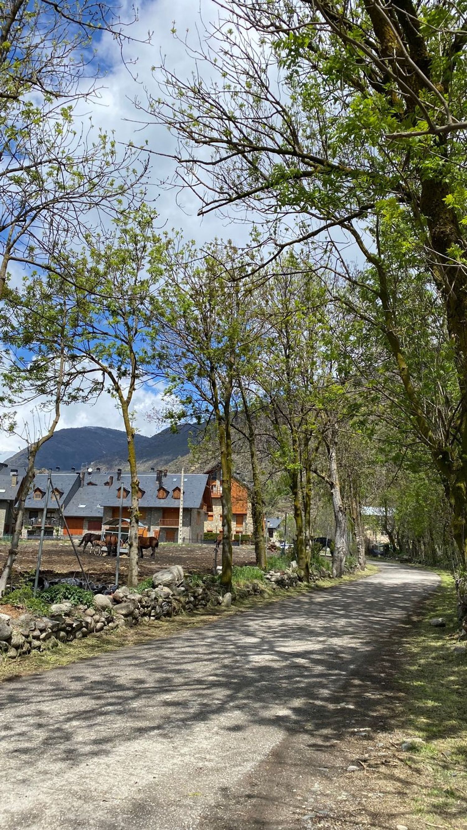 Piso de 75 m² en Esterri d'Àneu