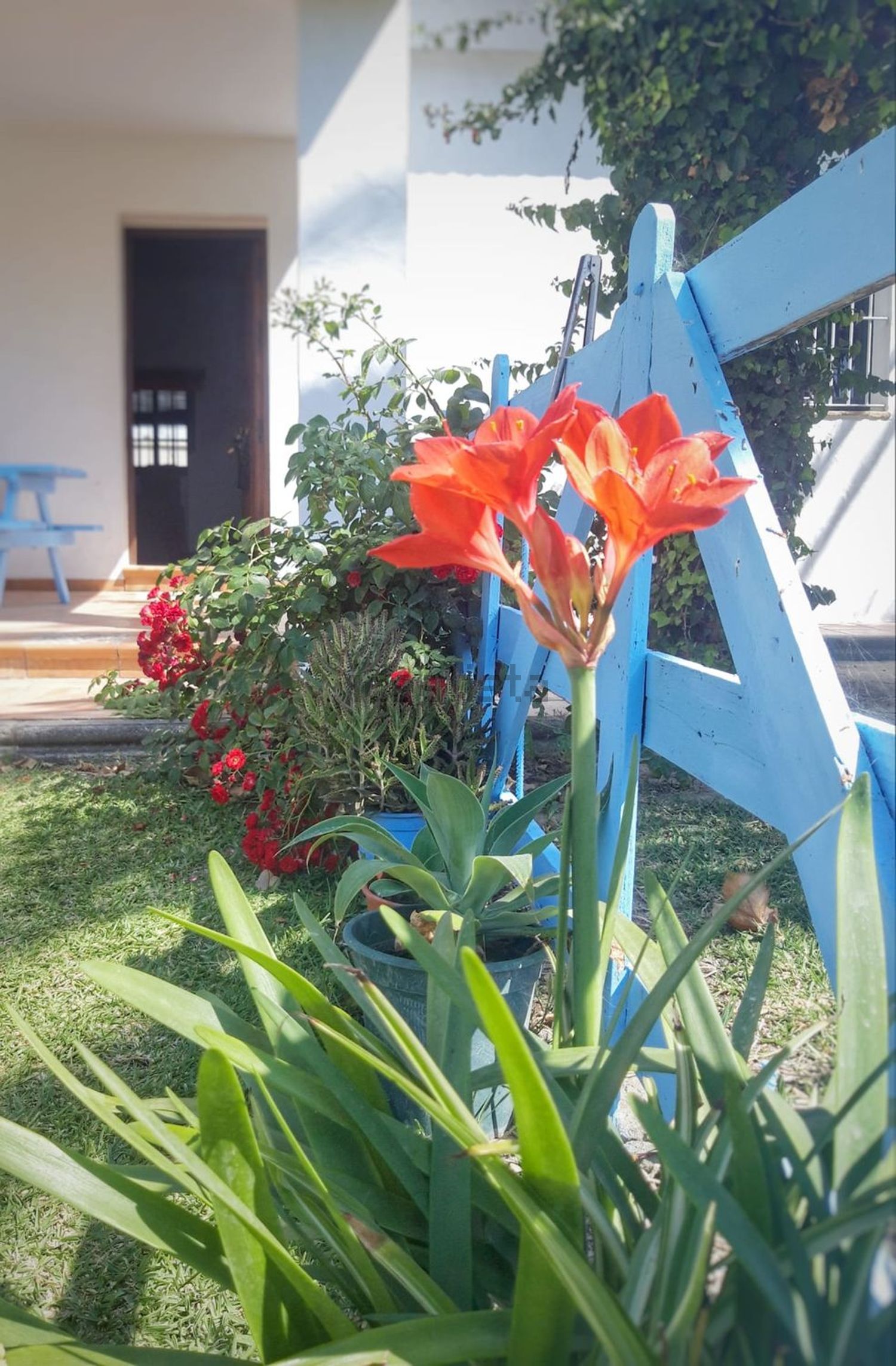 Casa de 120 m² a Vejer de la Frontera
