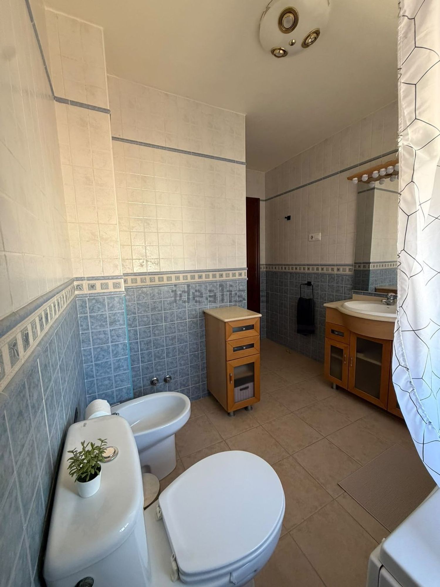 Habitació de lloguer, Cártama