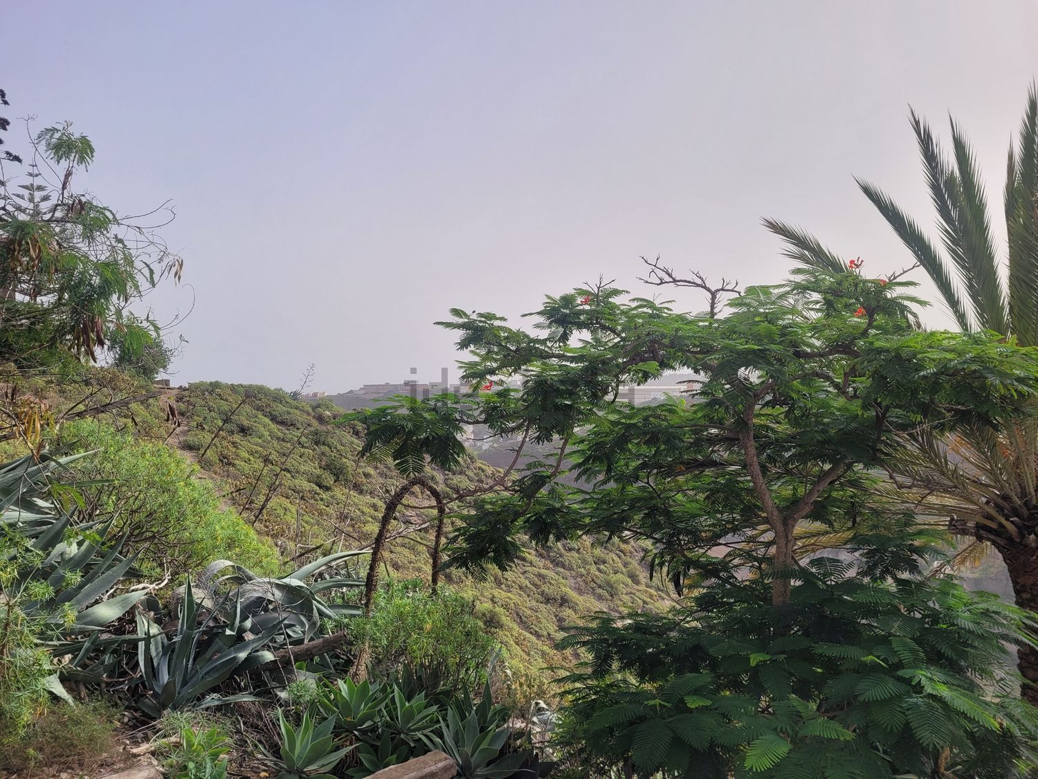 Appartamento 65 m² a Las Palmas de Gran Canaria