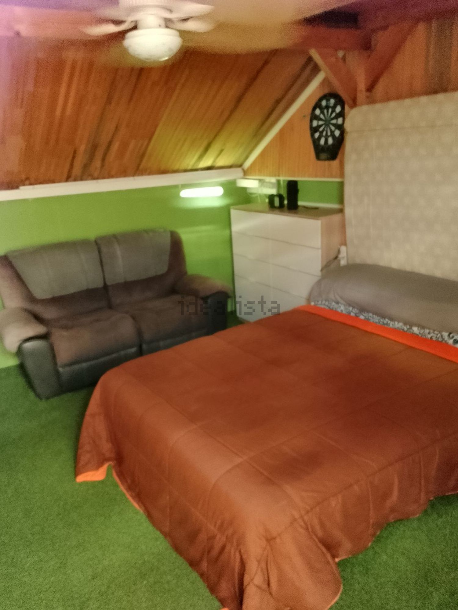Habitació de lloguer, Oriola