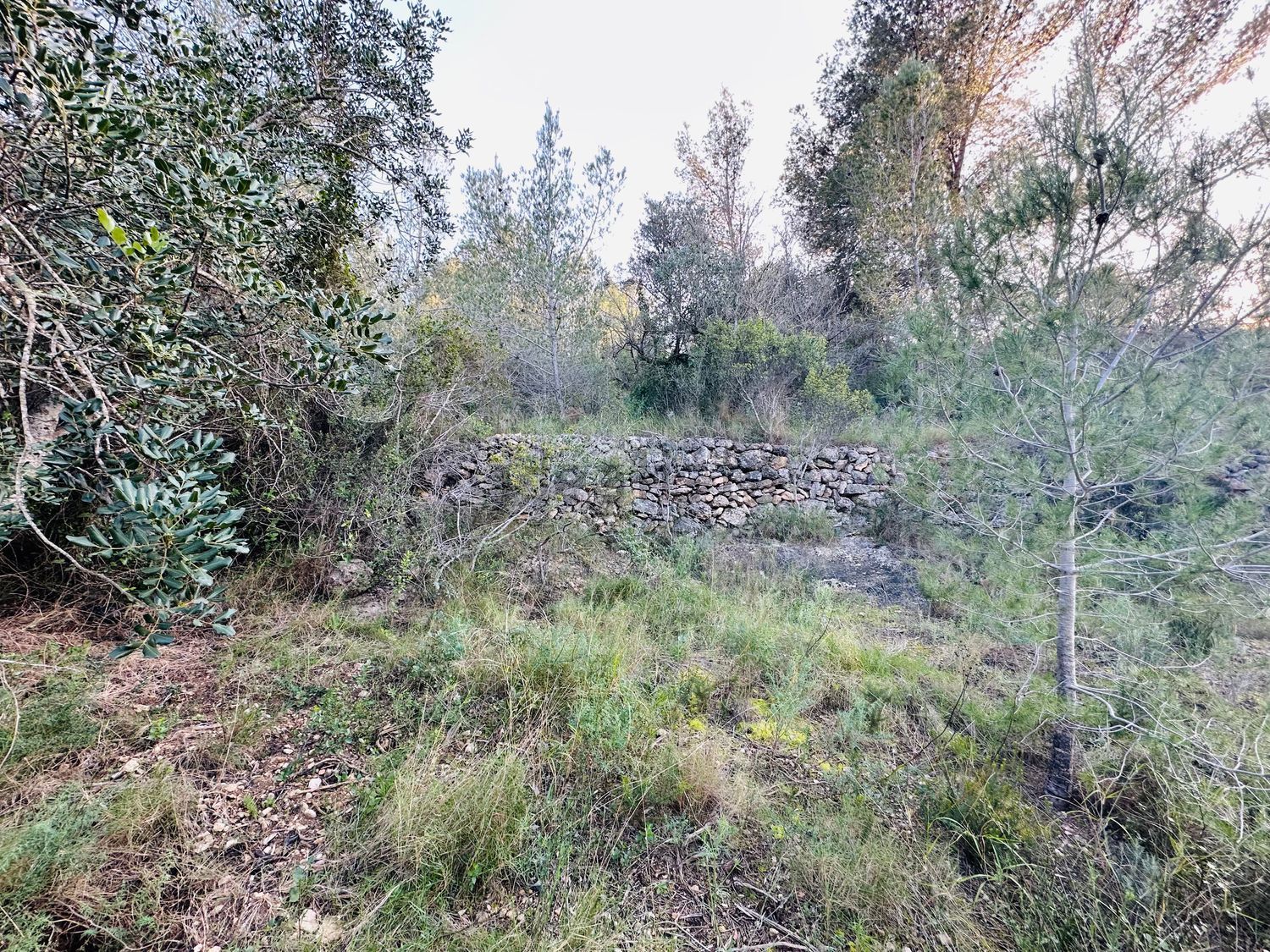 Appartamento 25 m² a Tortosa