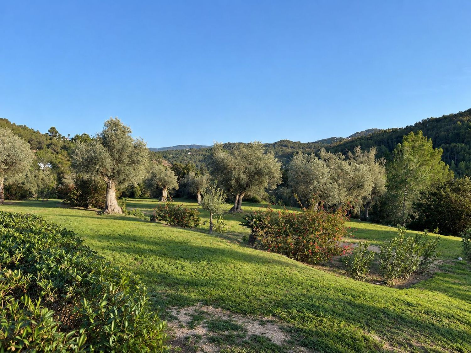 Casa de 230 m² a Sant Joan de Labritja