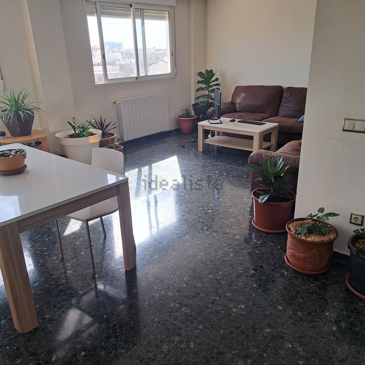 Habitació de lloguer, Tavernes Blanques