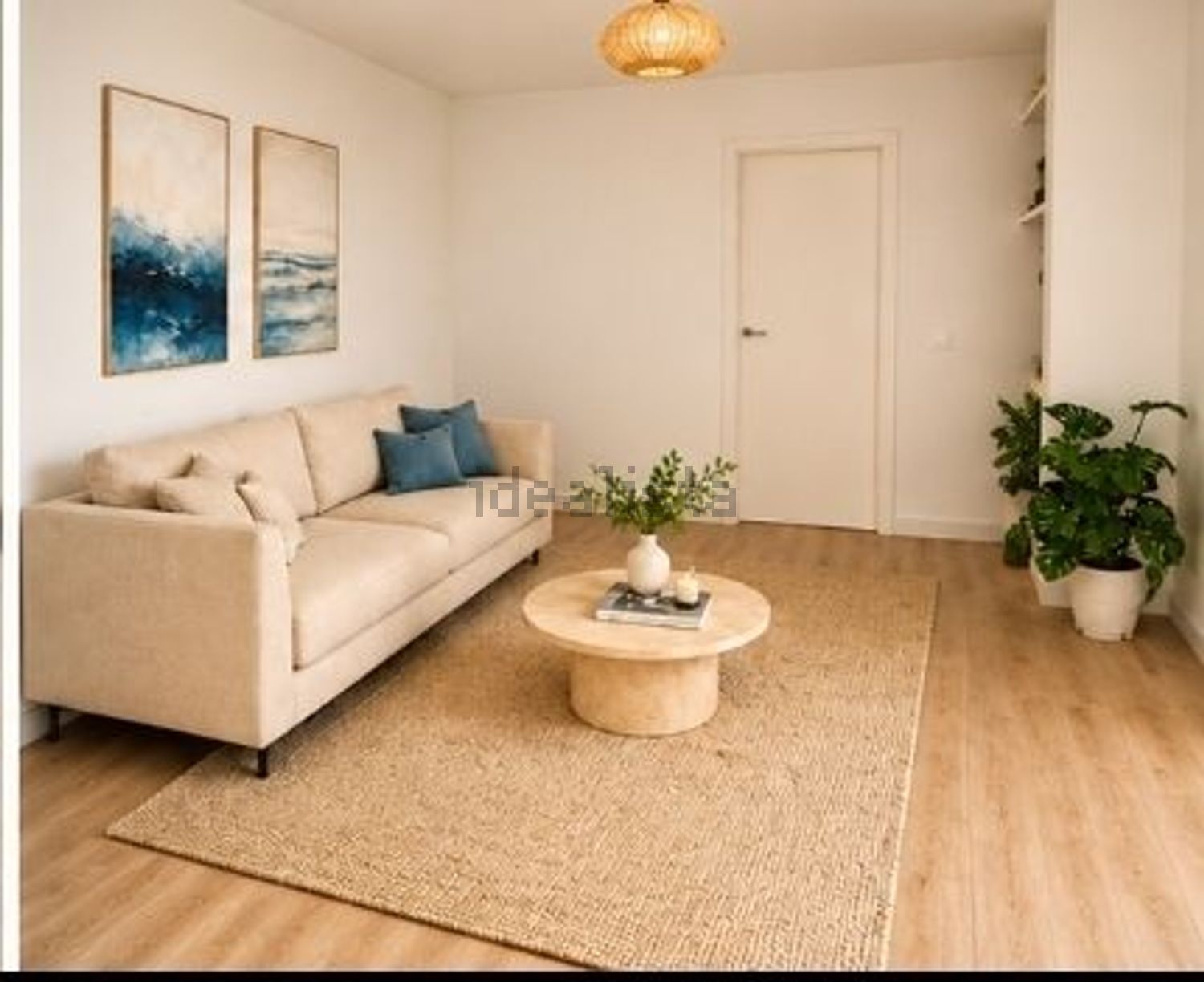 Habitació de lloguer, Palma