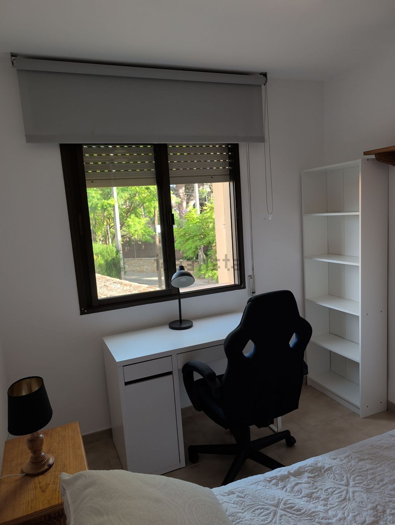 Habitació de lloguer, Calvià