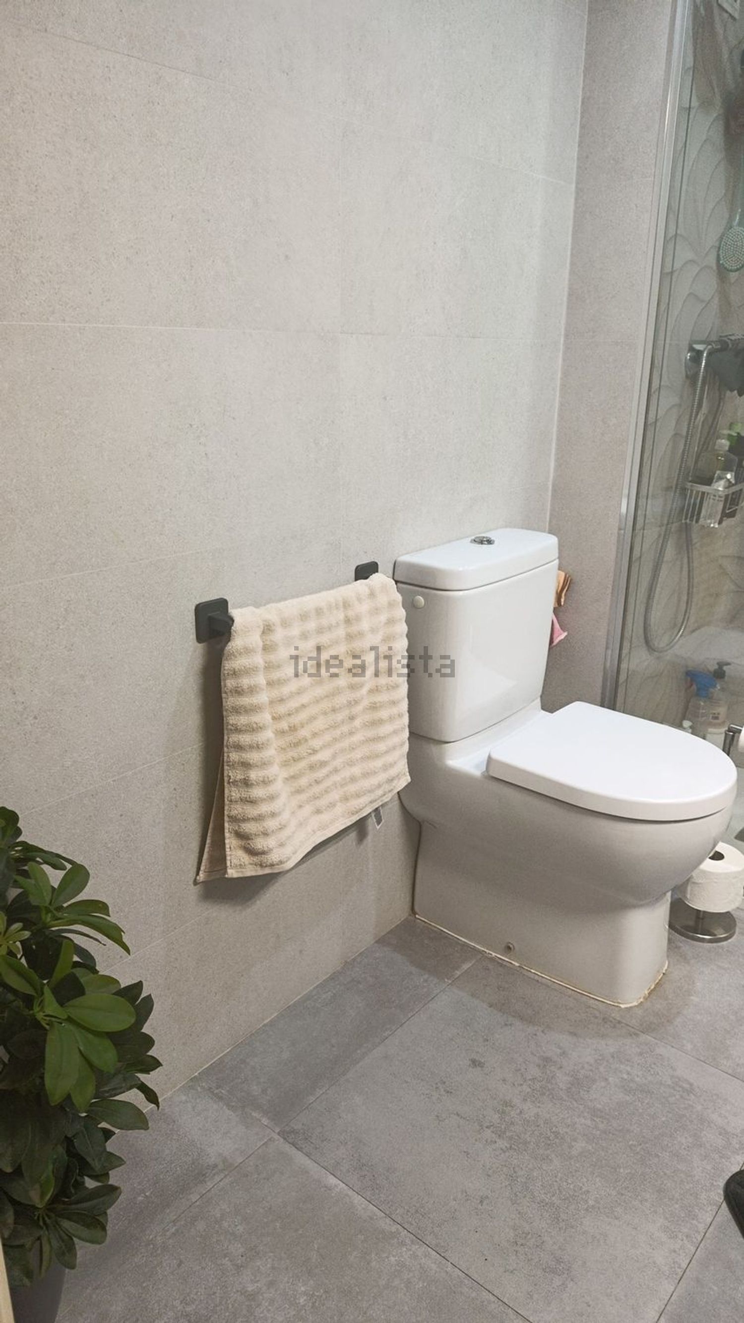 Stanza in affitto, Valencia