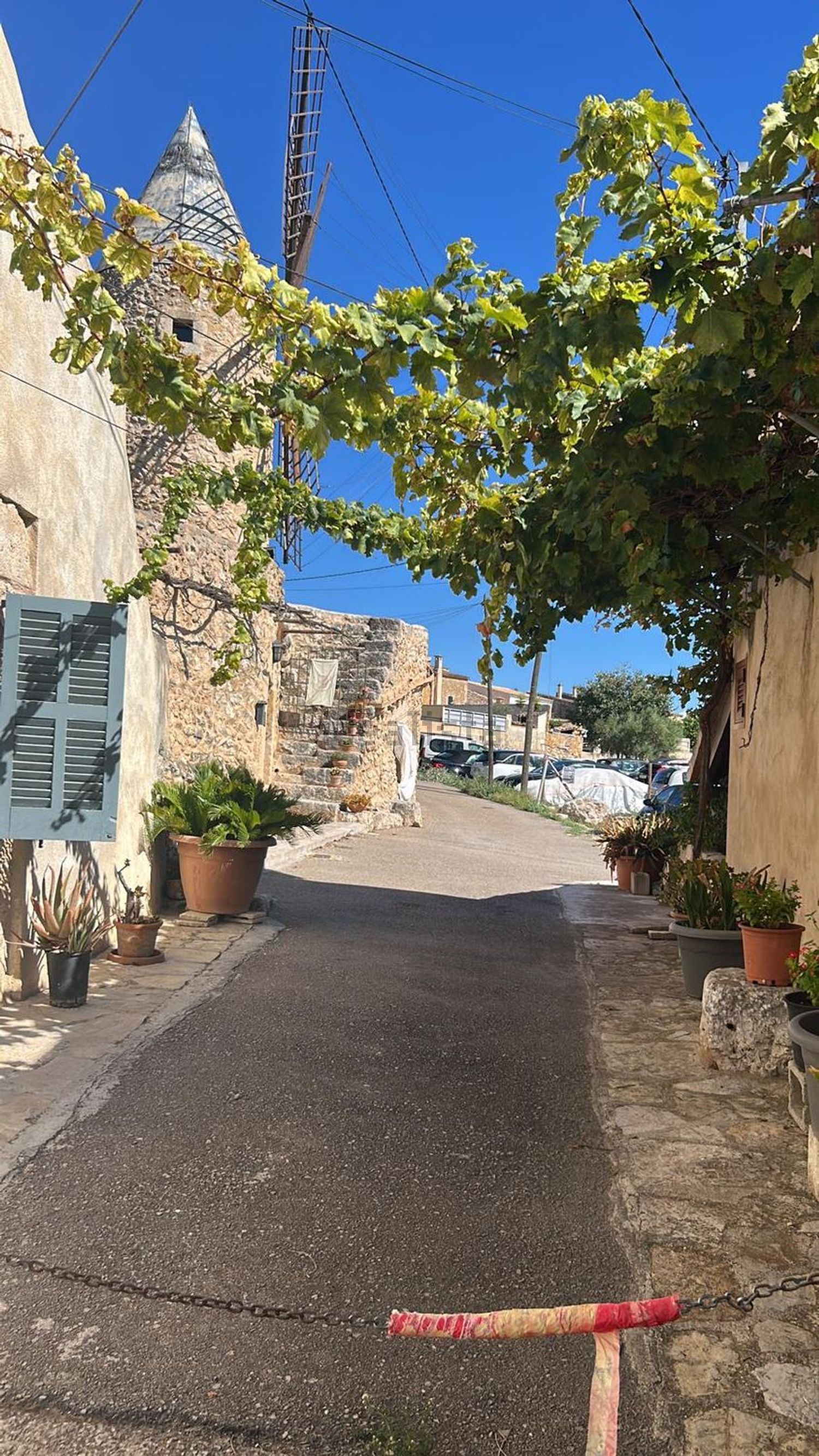 Stanza in affitto, Sineu