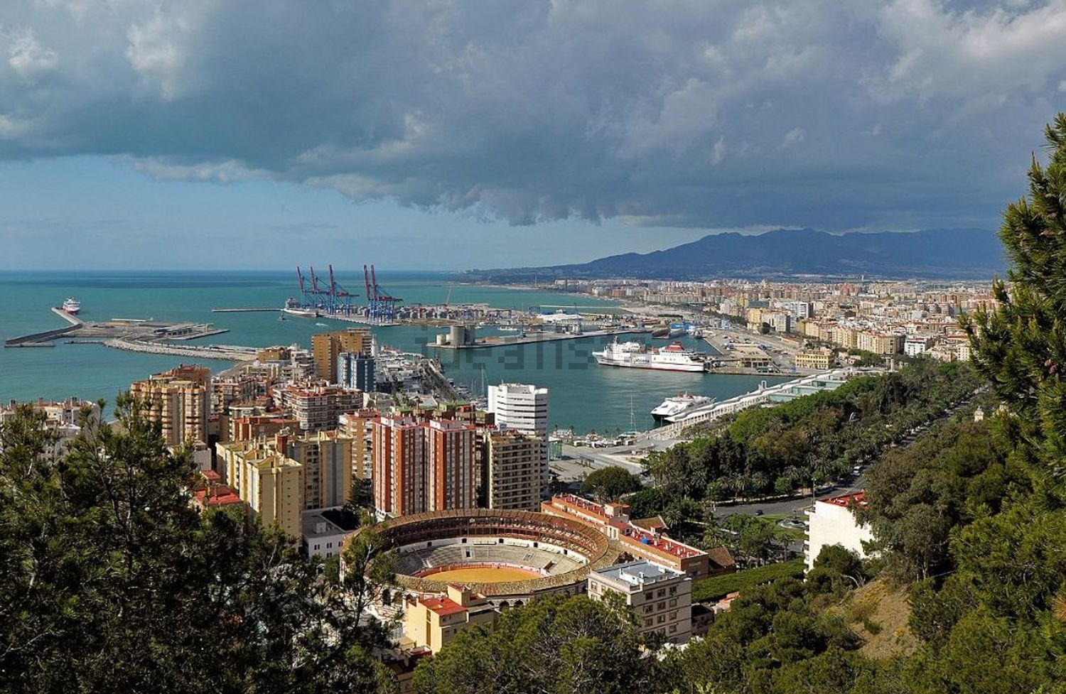 Stanza in affitto, Málaga