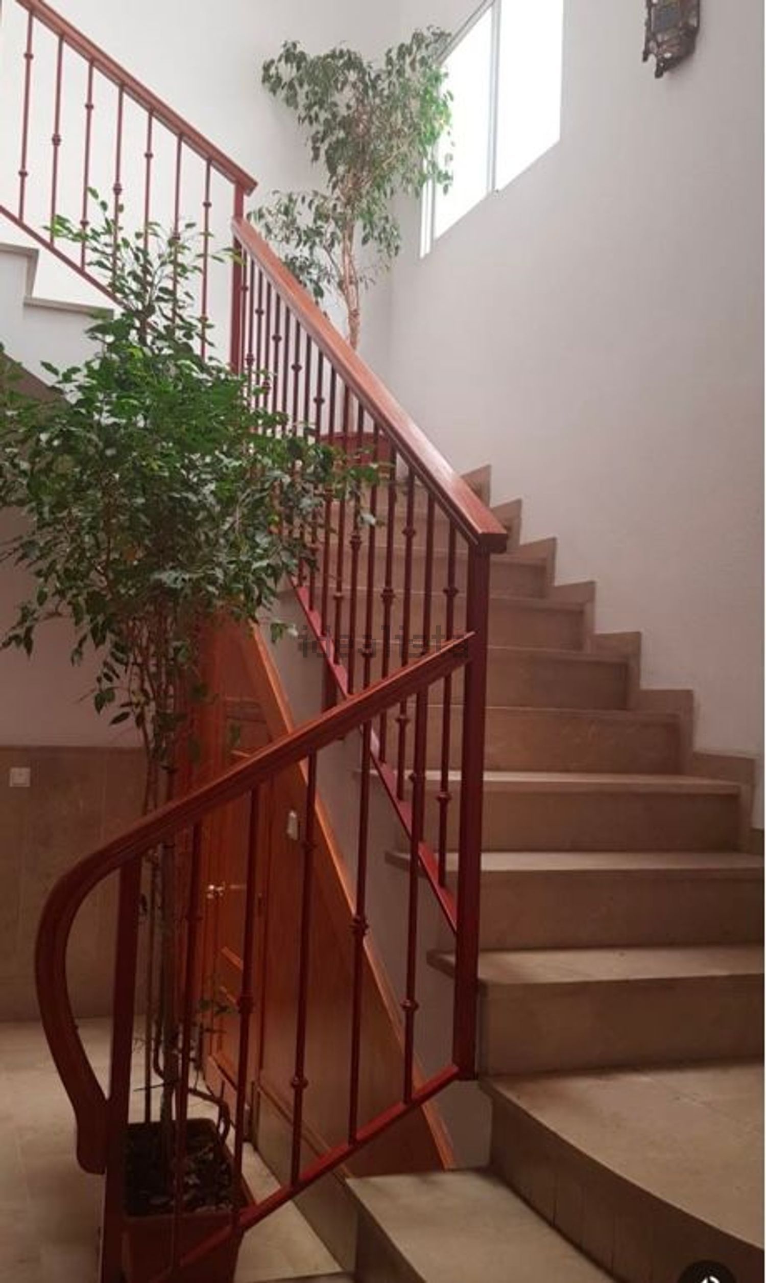 Habitación 60 m², Almería