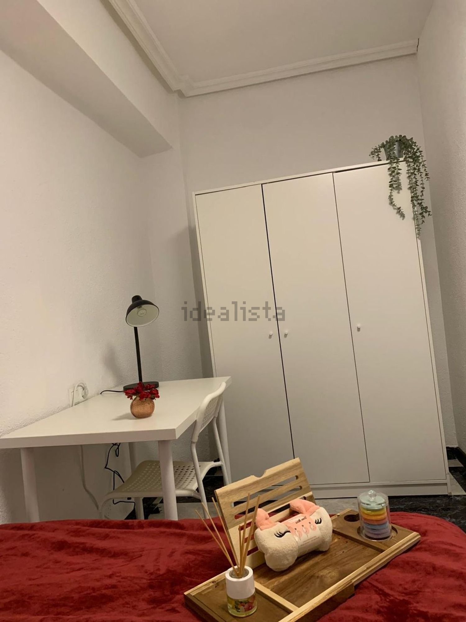 Habitació de lloguer, Elx
