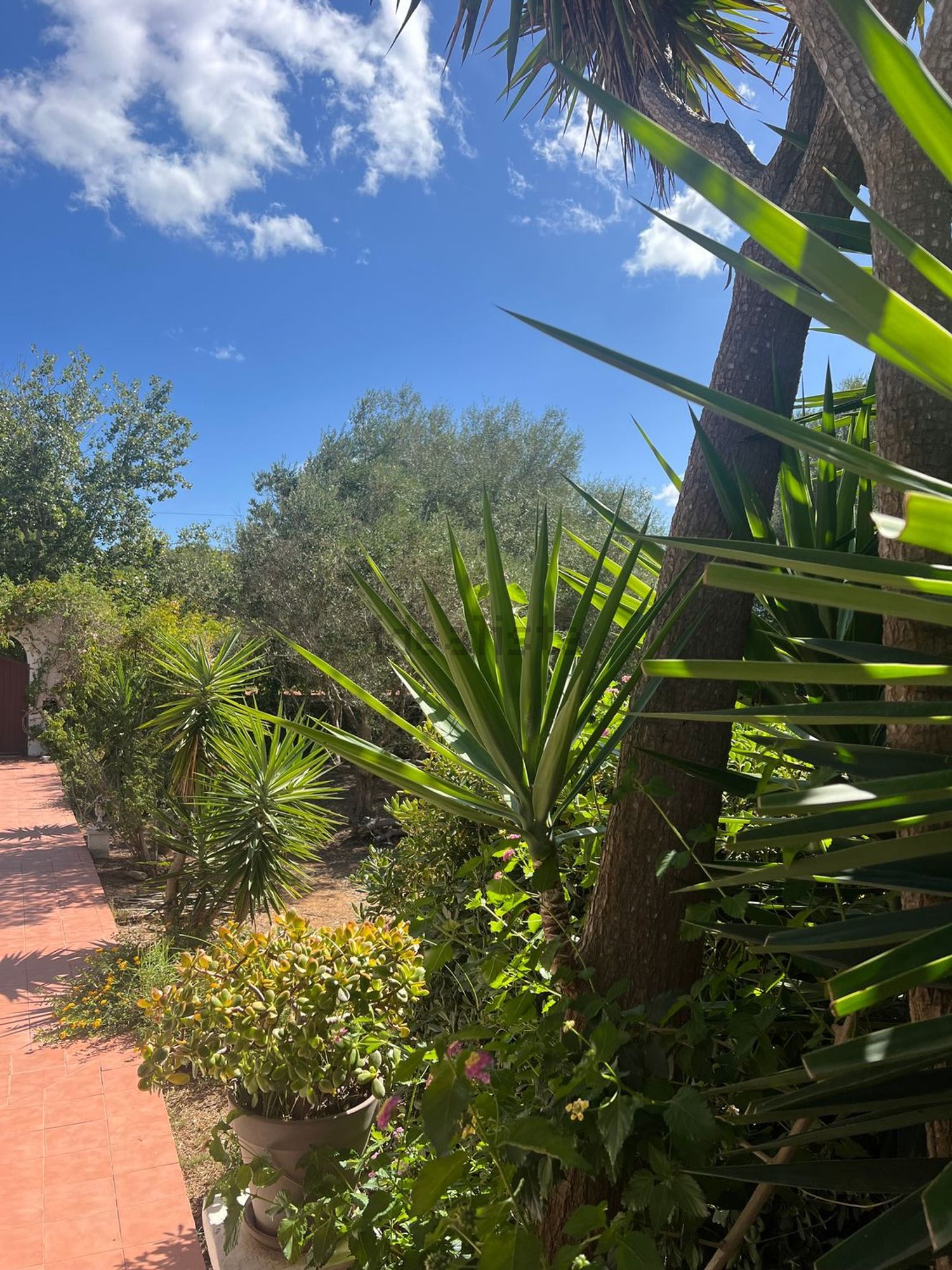Piso de 61 m² en Alaior