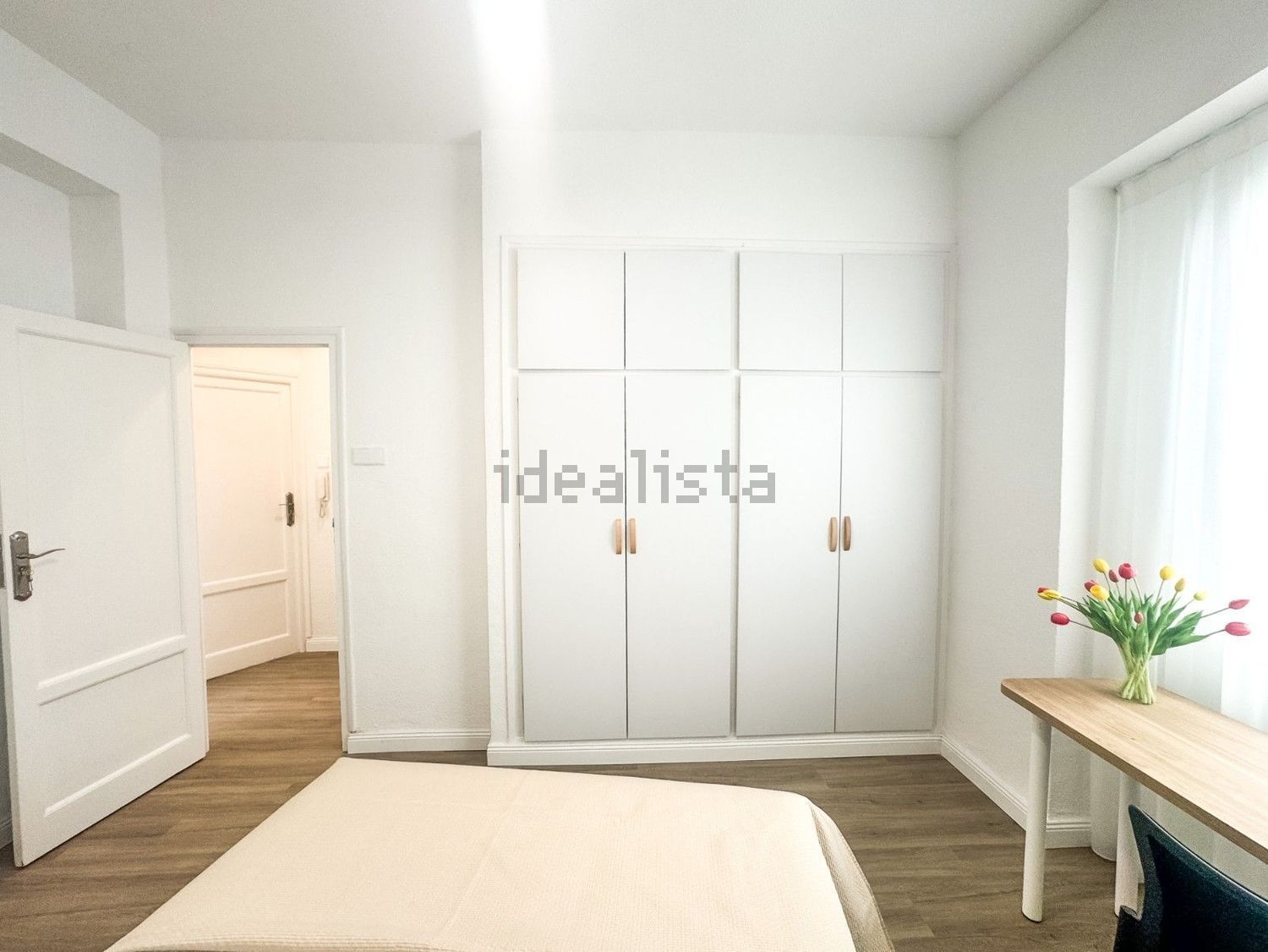 Habitació de lloguer, Elx