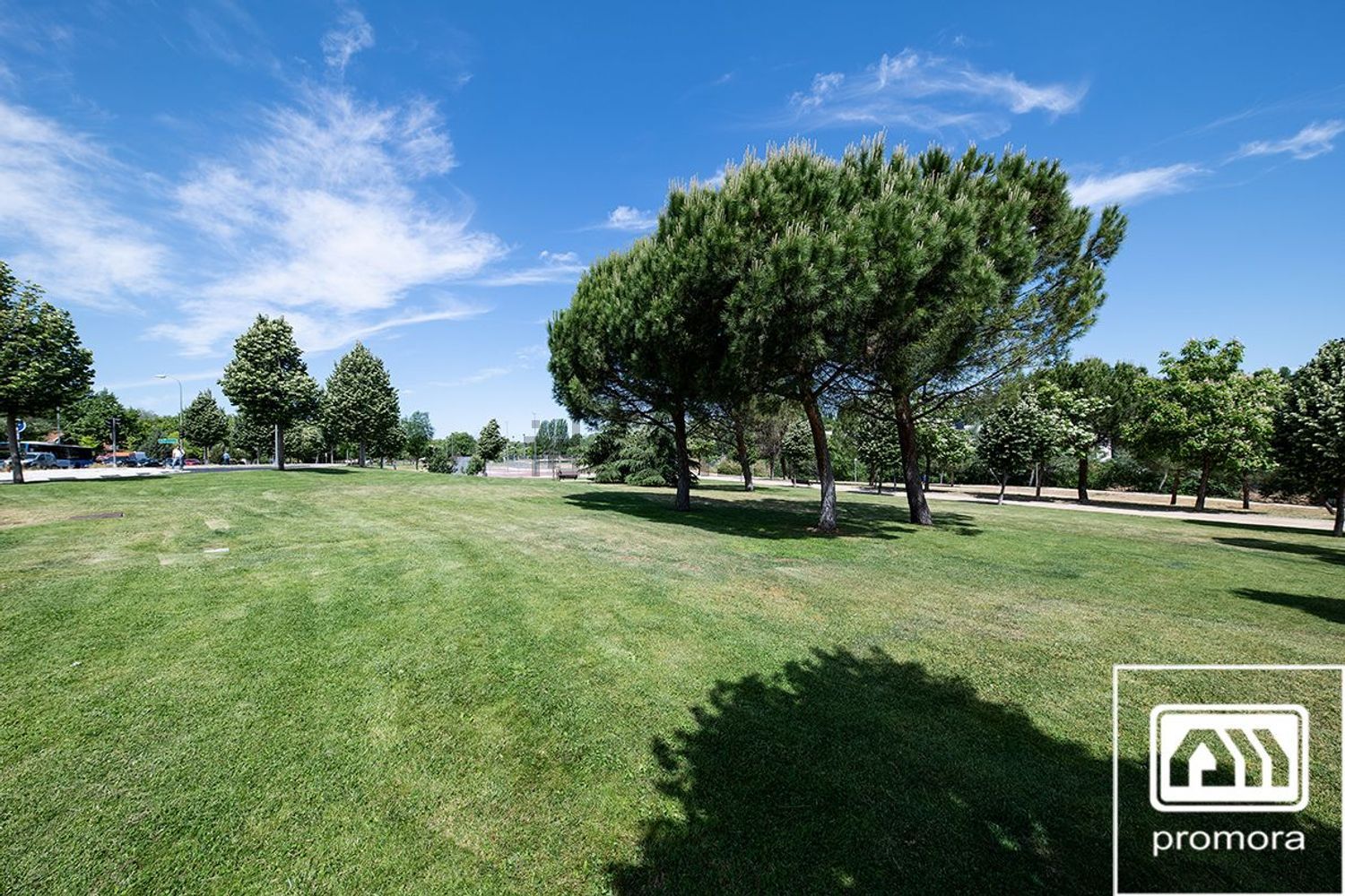 Piso de 226 m² en Madrid