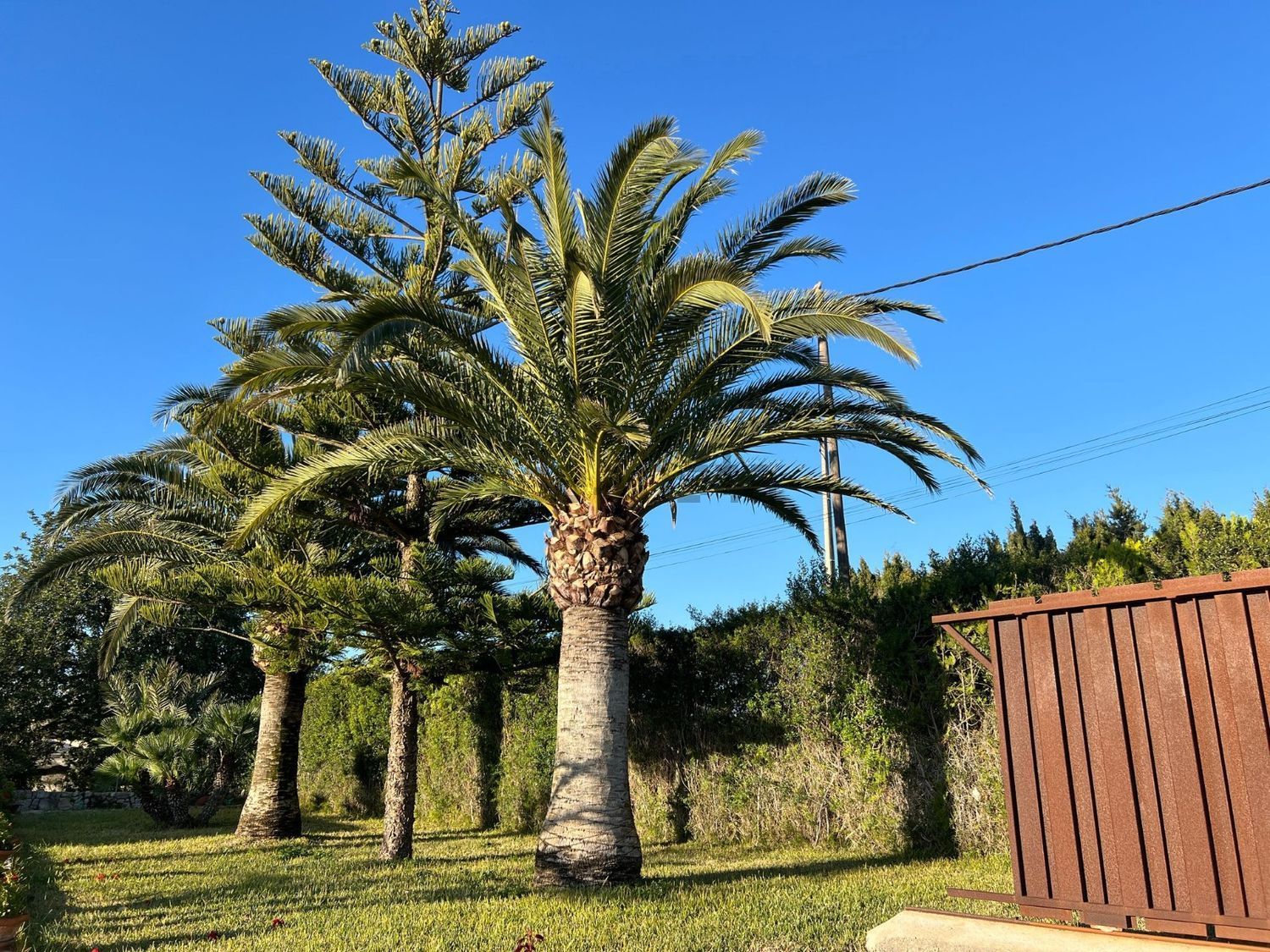Casa de 200 m² en Montuïri