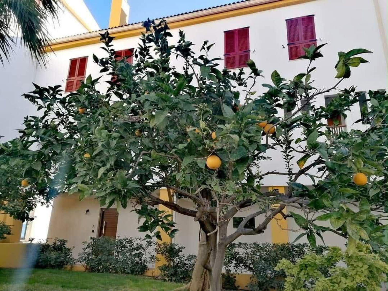Appartement 30 m² à Altea