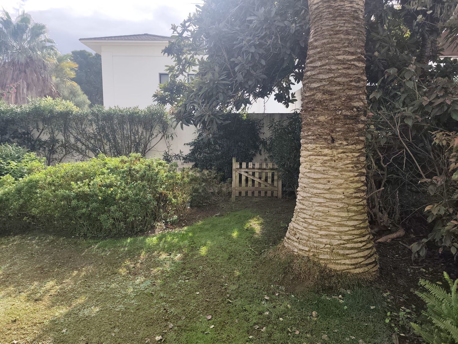 Apartamento 145 m² em San Roque