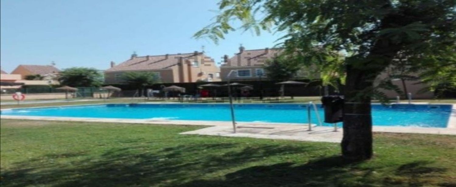 Habitació de lloguer, Espartinas