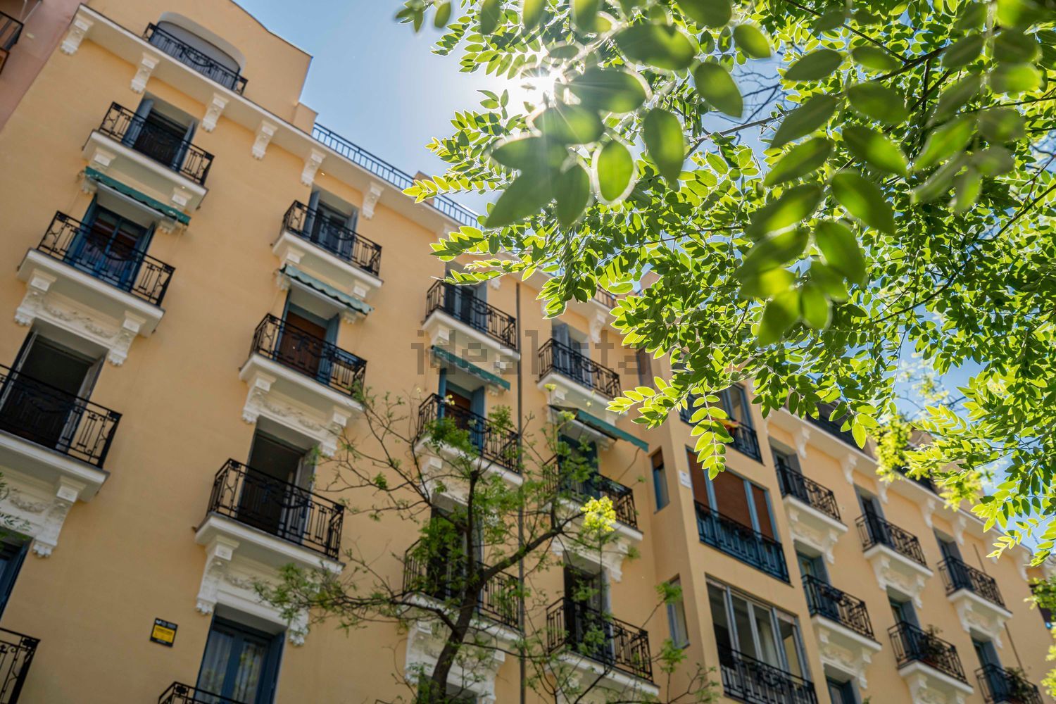 Stanza in affitto, Madrid