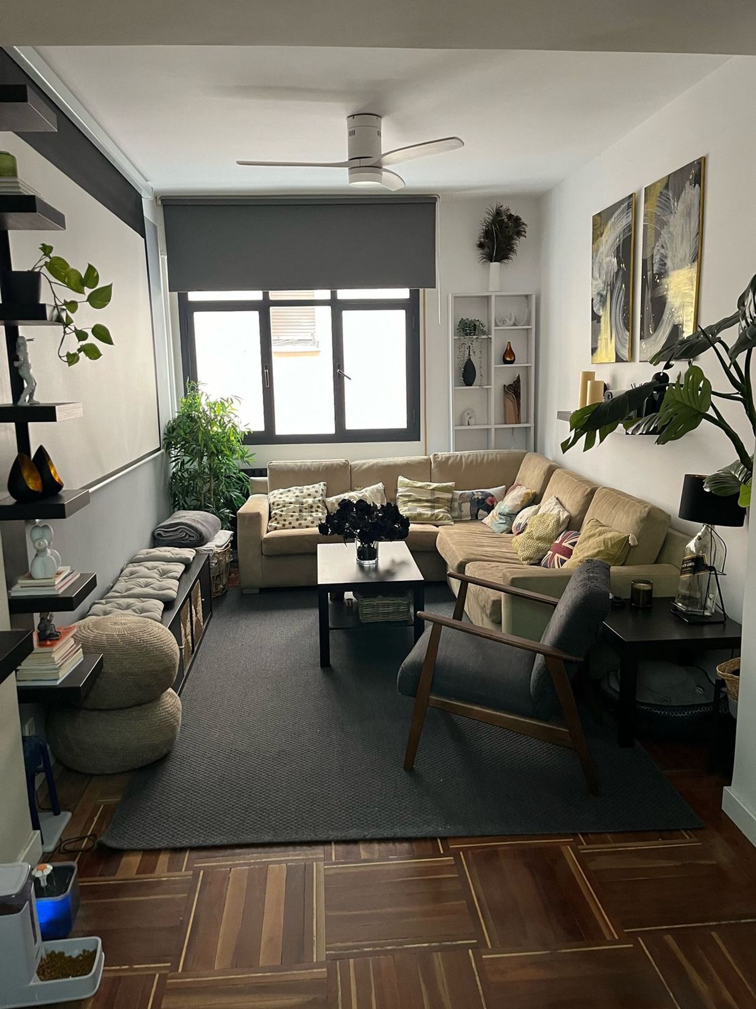 Habitació de lloguer, Madrid