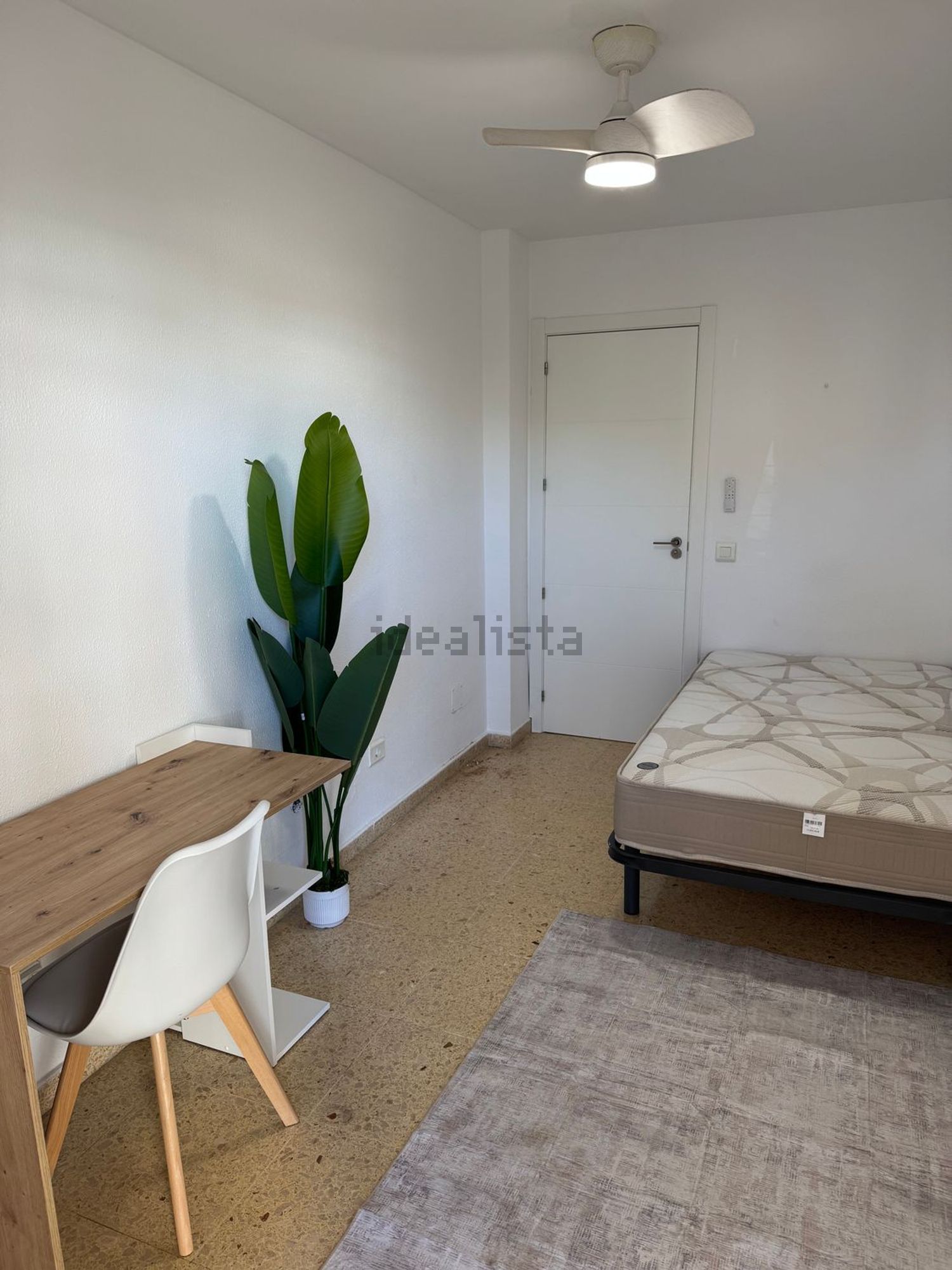 Habitació de lloguer, Palma