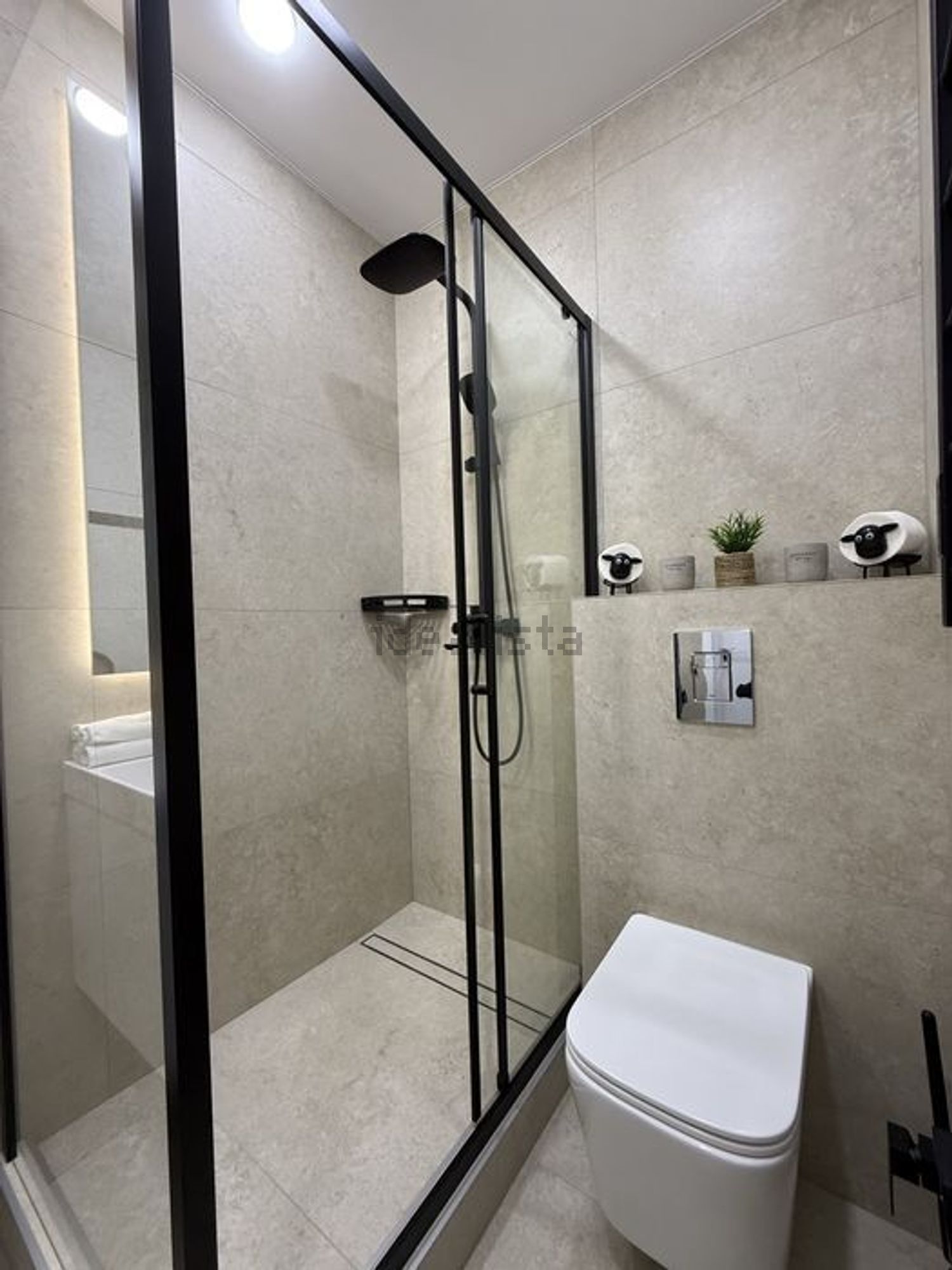Habitació de lloguer, Alacant