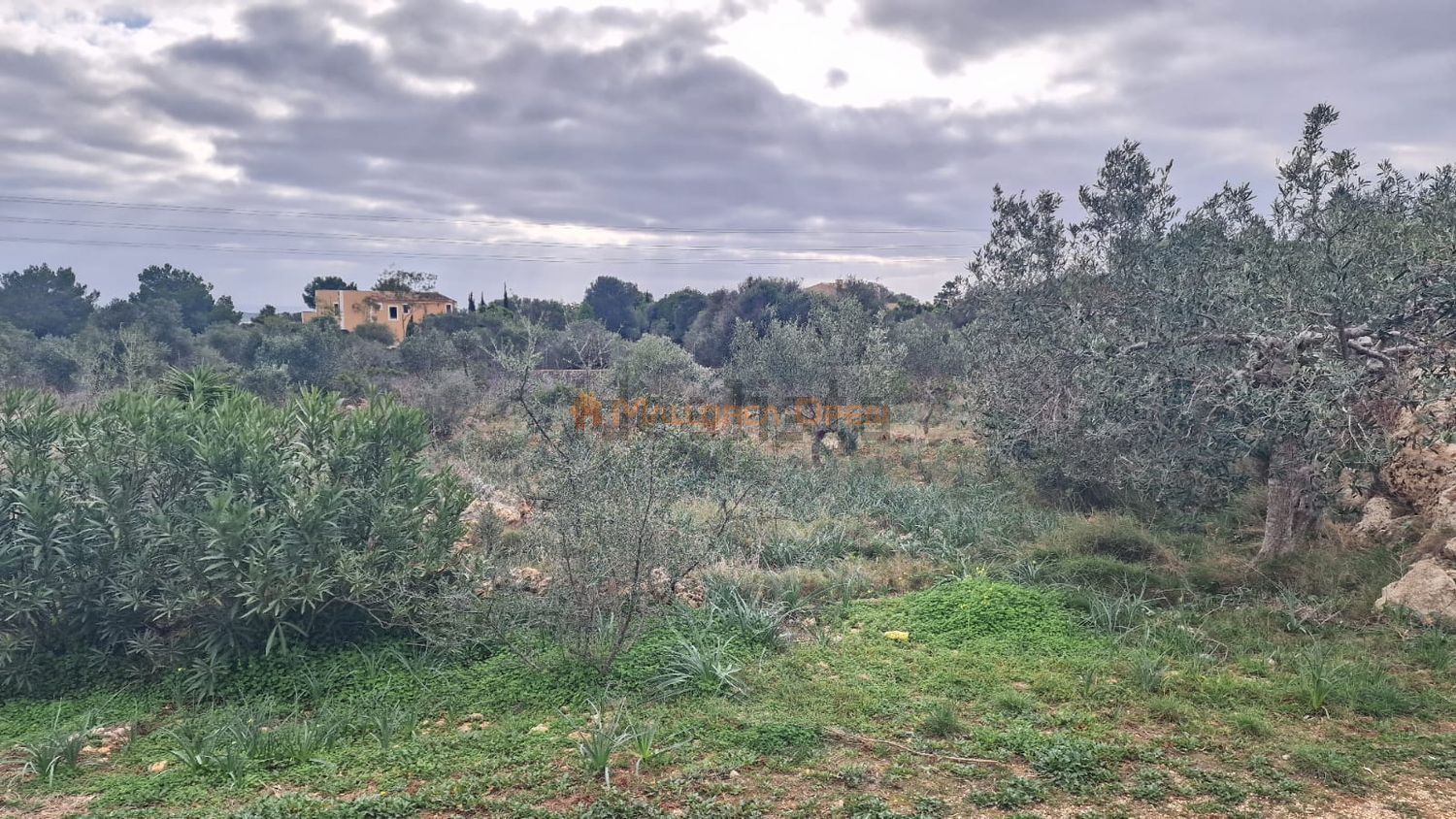 Casa de 350 m² a Felanitx