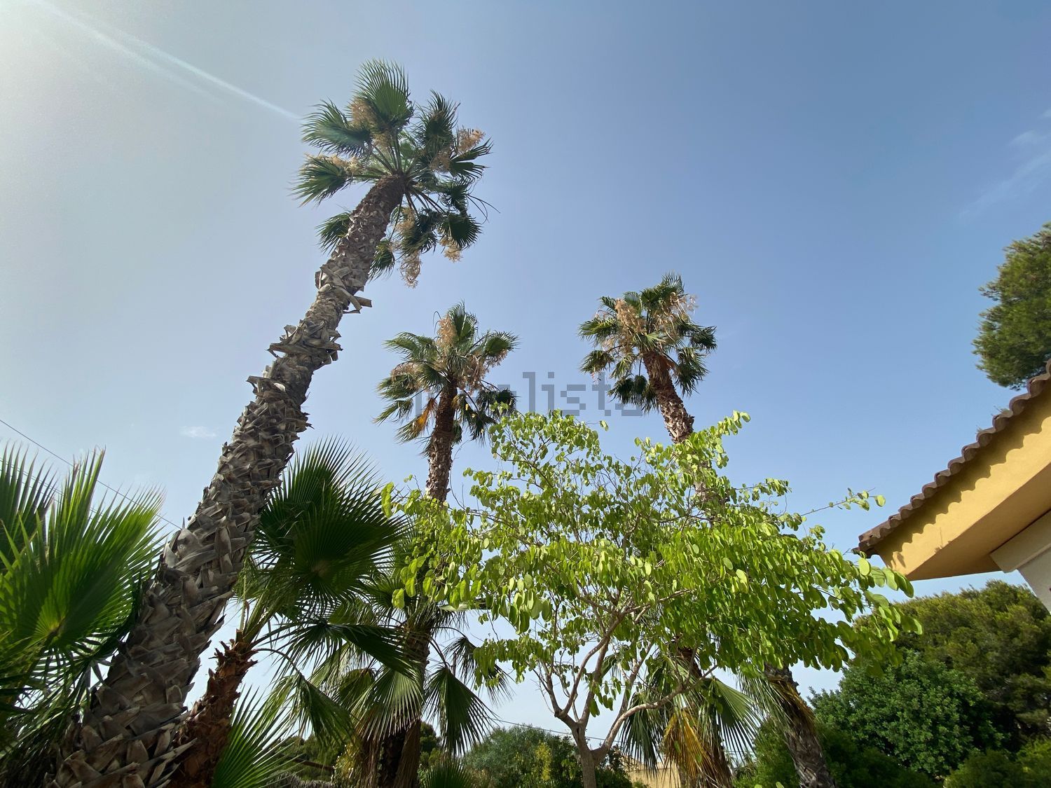 Casa de 190 m² a Oriola