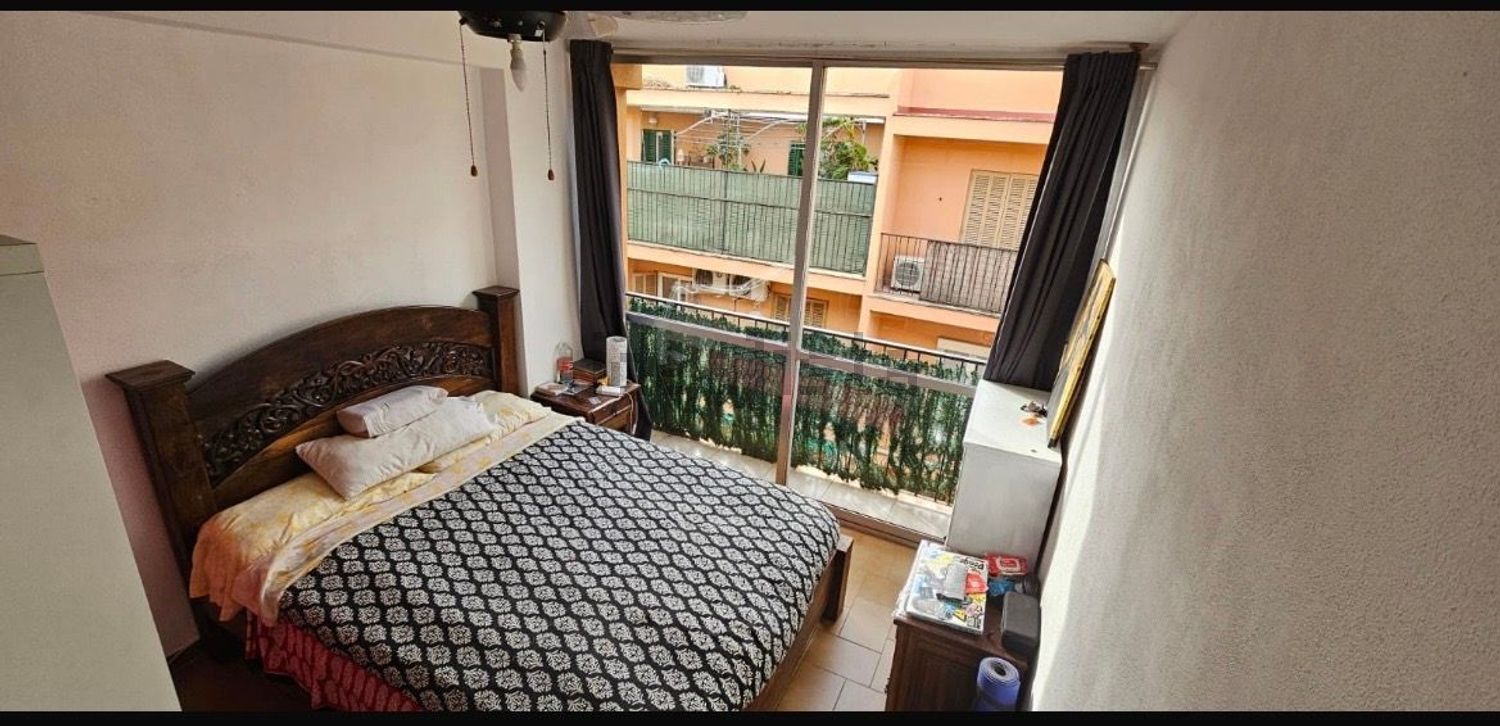Habitació de lloguer, Palma