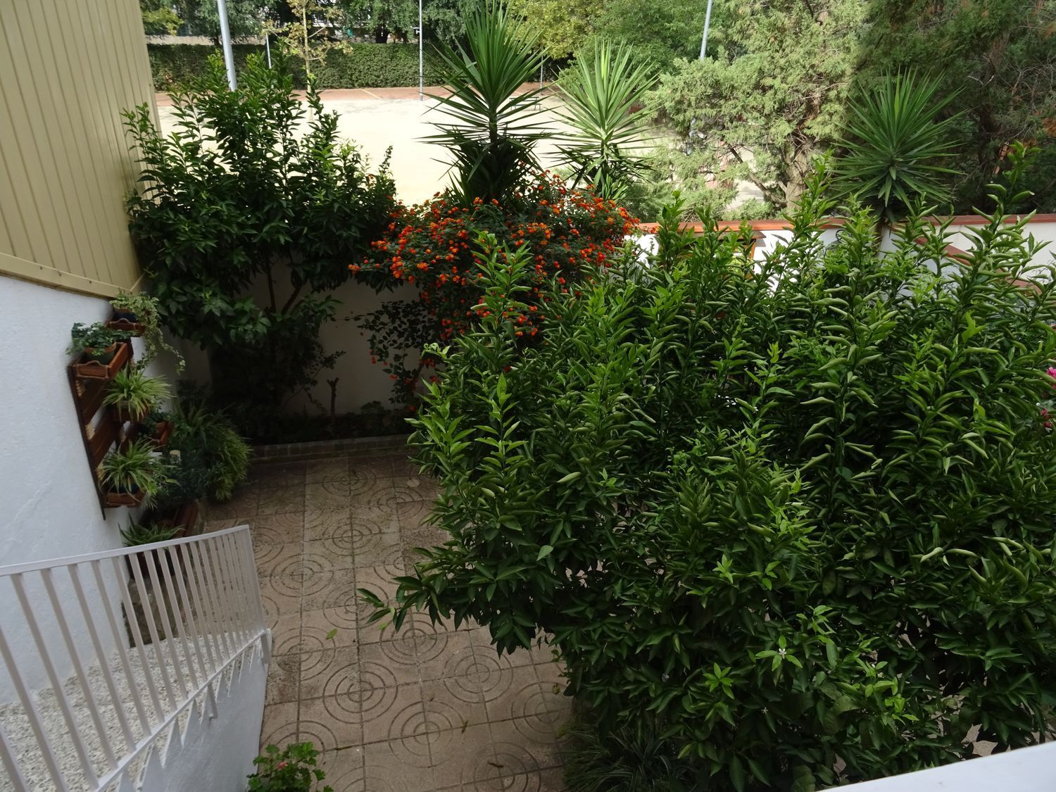 Habitació de lloguer, Terrassa