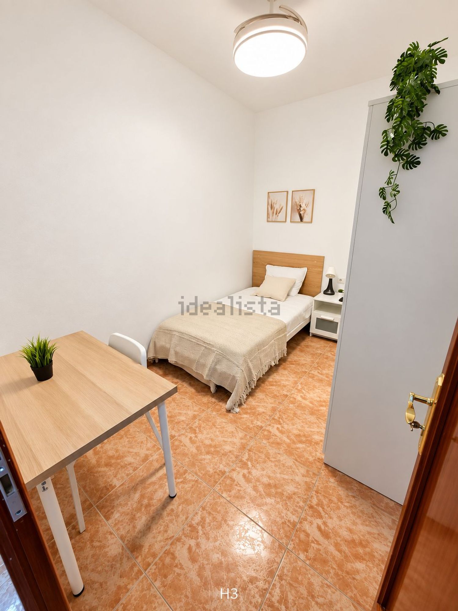 Habitació de lloguer, Algemesí