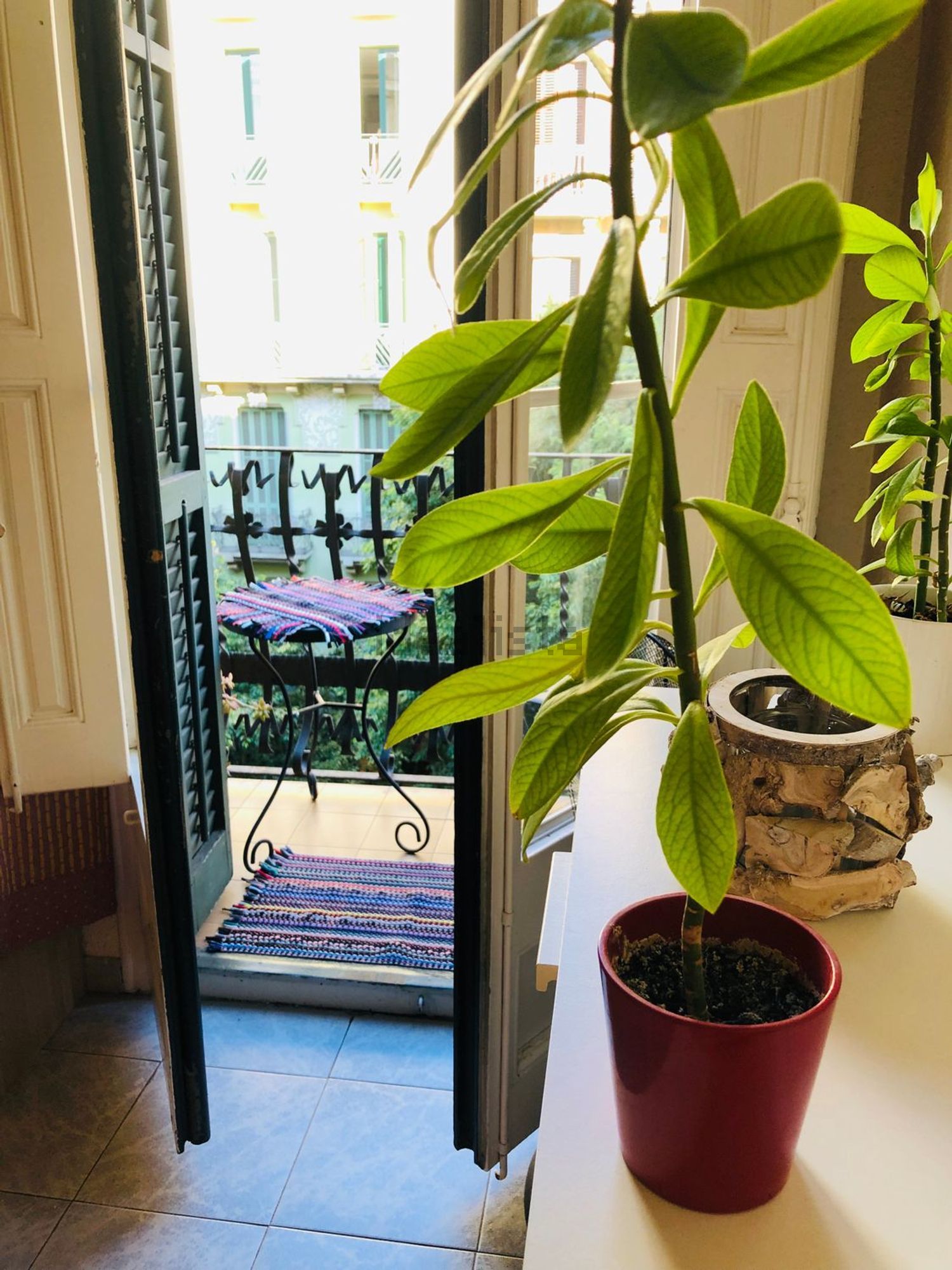 Room for rent, Barcelona