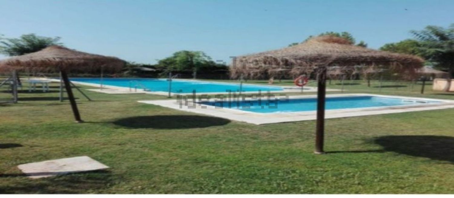 Habitació de lloguer, Espartinas