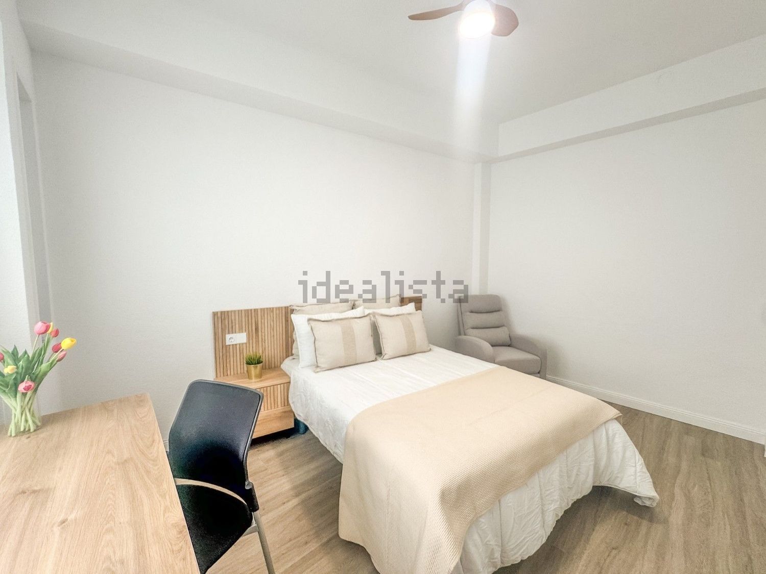 Habitació de lloguer, Elx