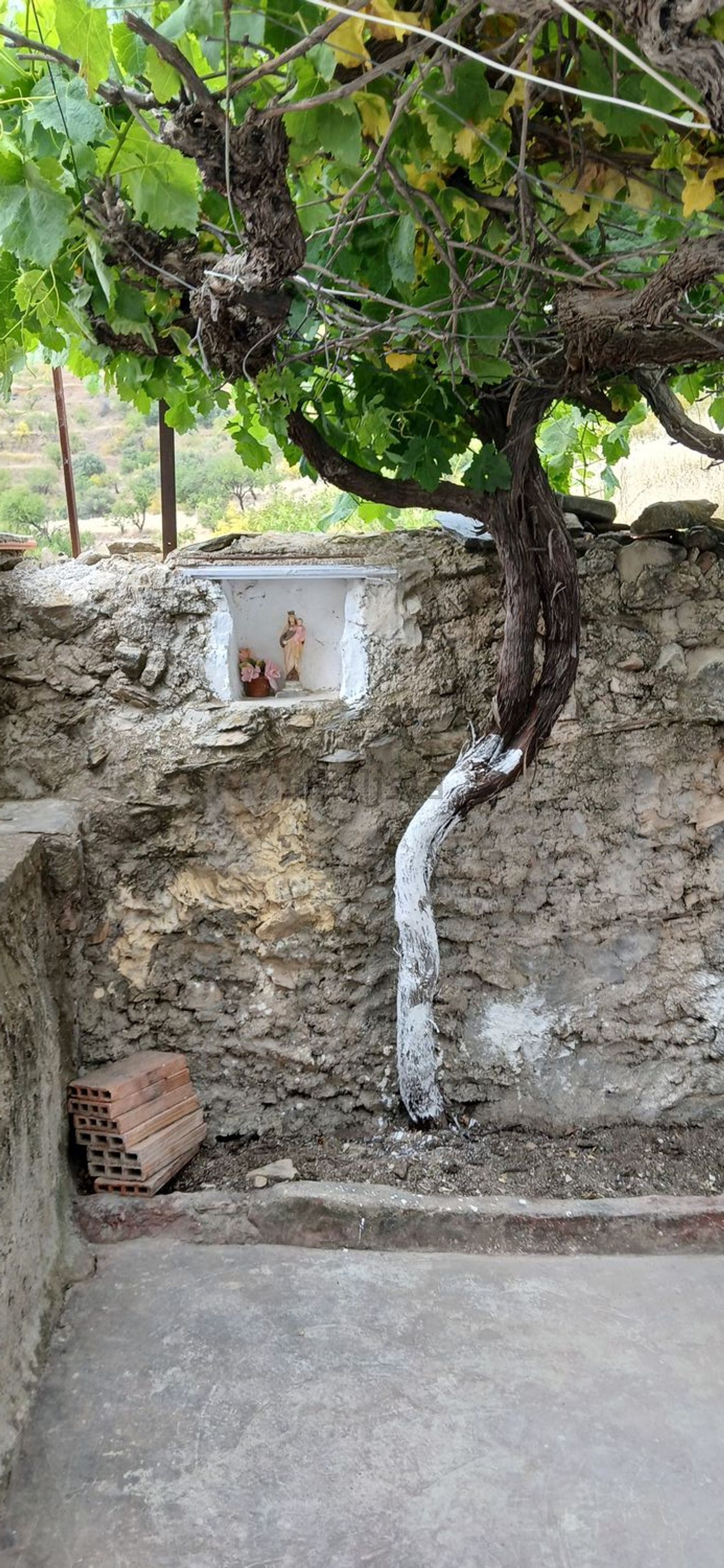 Casa de 35 m² a Benitagla