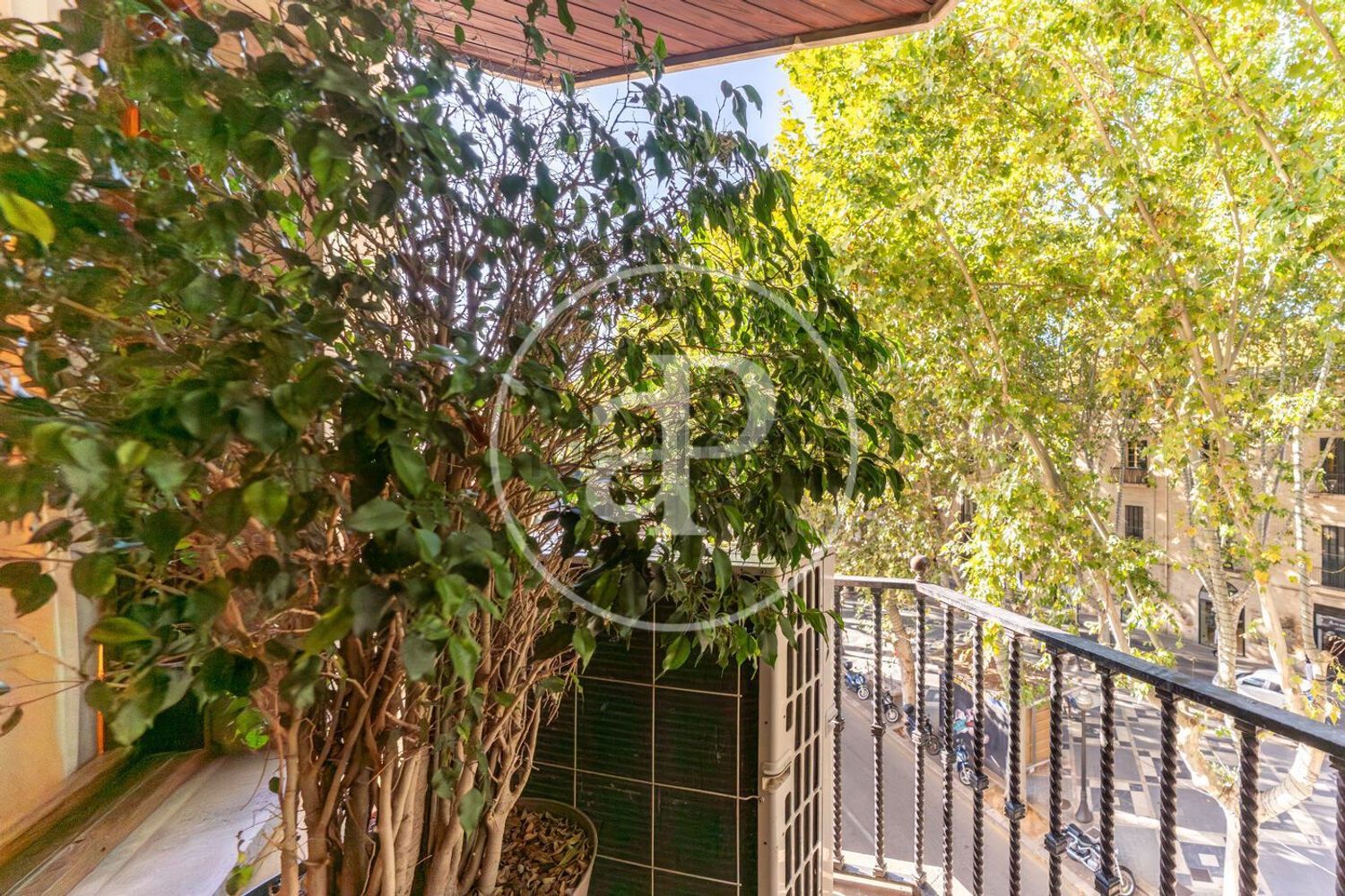 Appartamento 166 m² a Palma