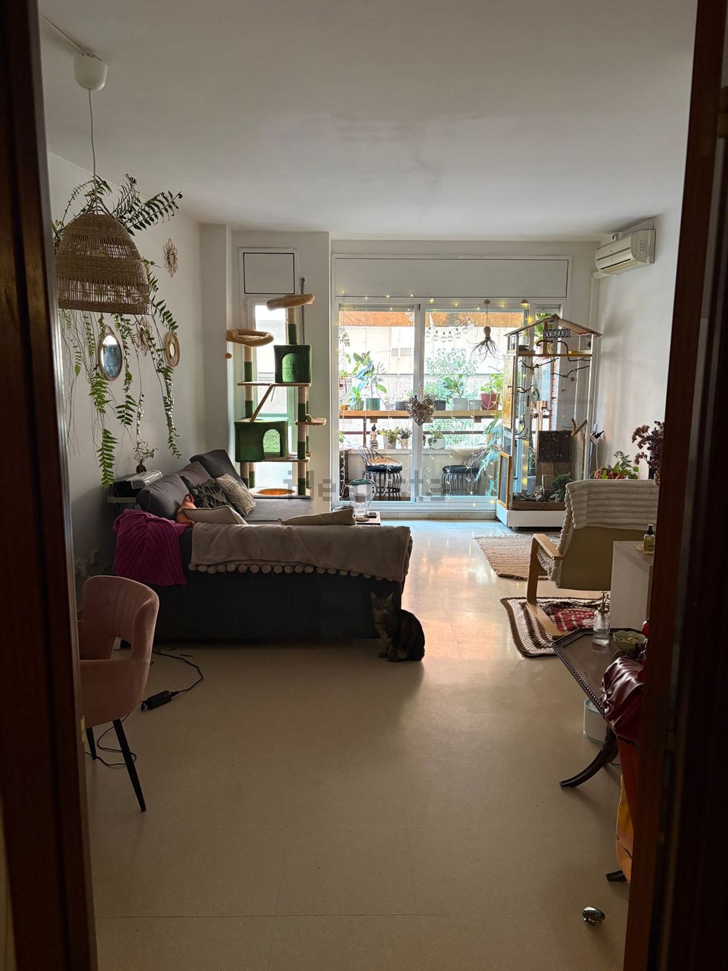 Habitació de lloguer, Barcelona