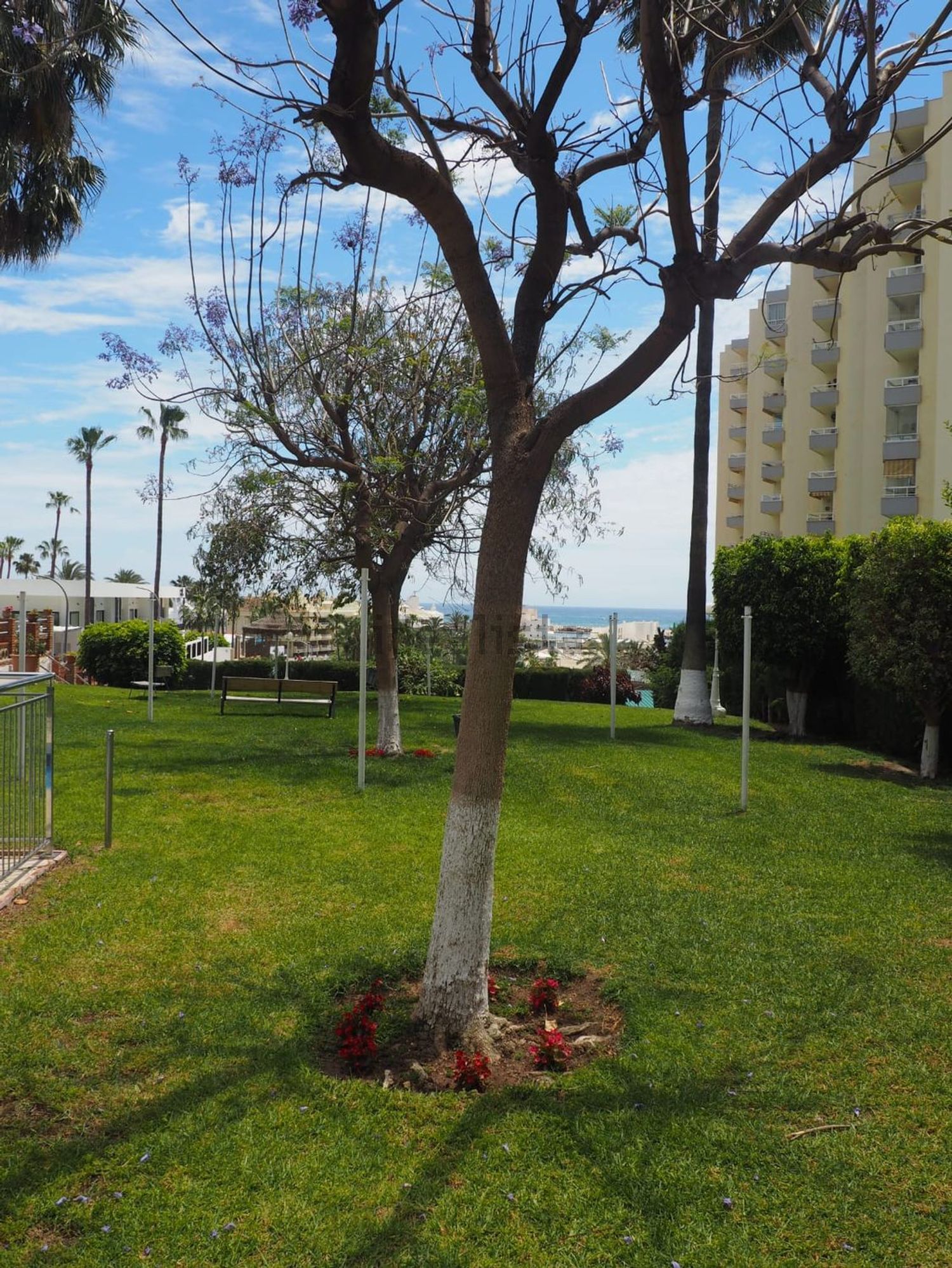 Pis de 39 m² a Benalmádena