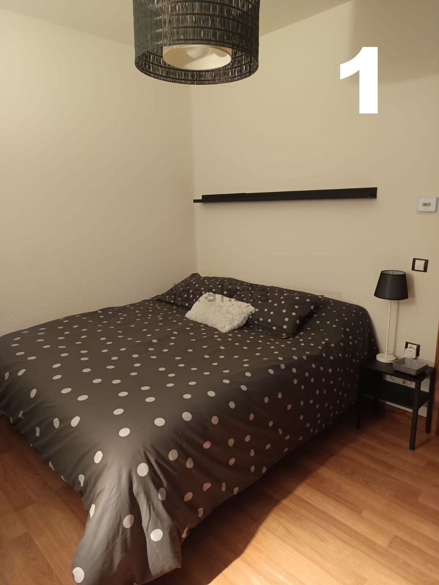 Habitació de lloguer, Lleó