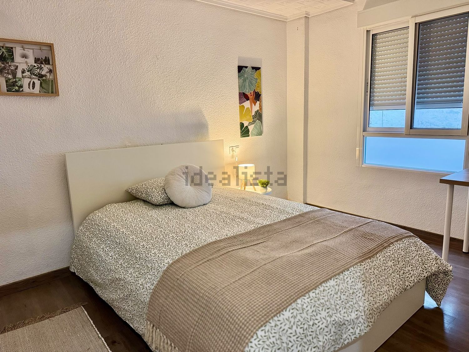 Habitació de lloguer, Elx
