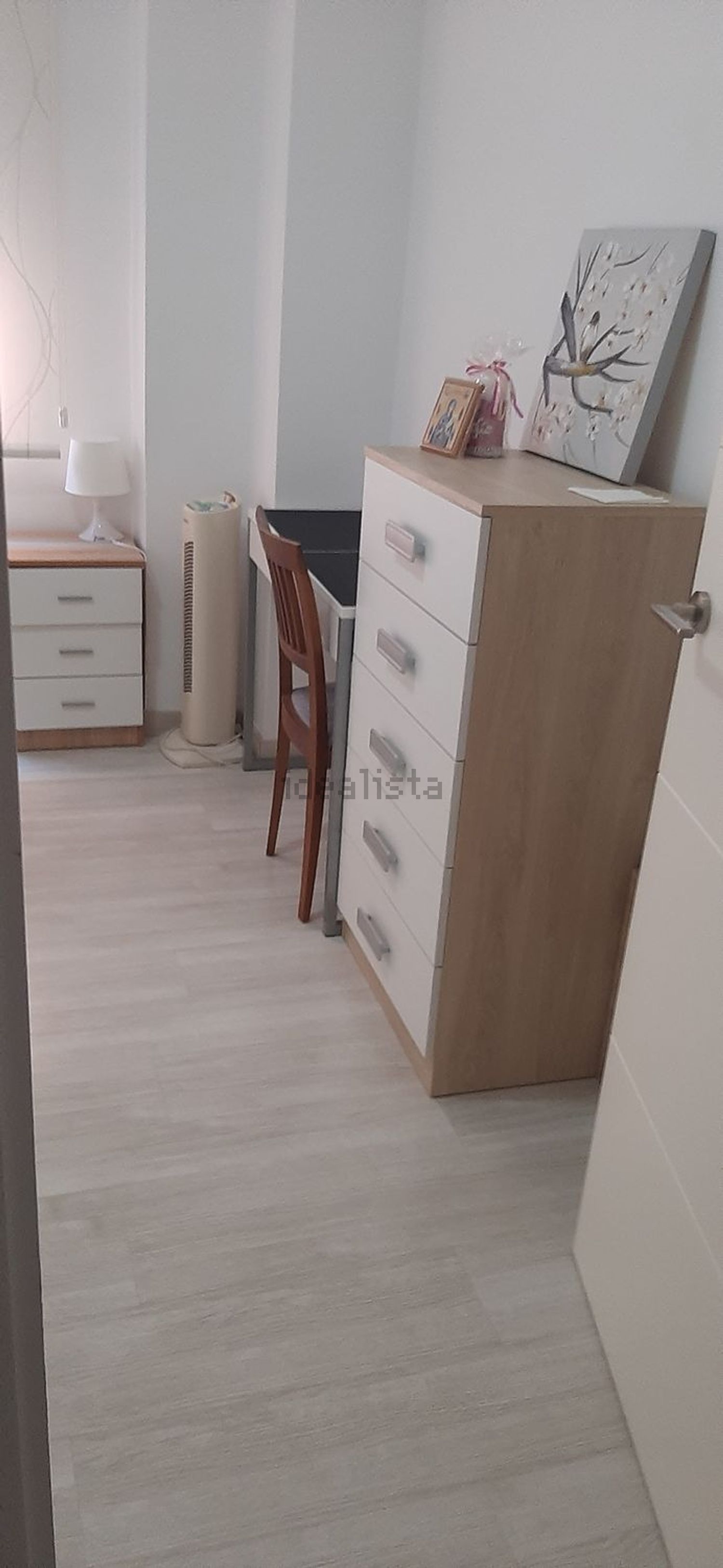 Habitació de lloguer, Castelló de la Plana
